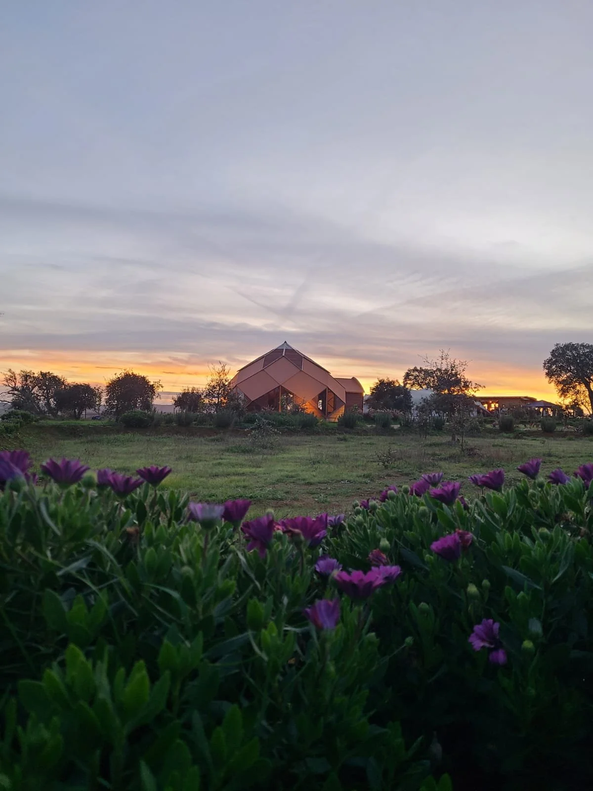 Sunset over a field with purple flowers in the foreground, a small architectural structure with a geometric dome shape in the middle distance, and trees with an orange and yellow sky in the background.