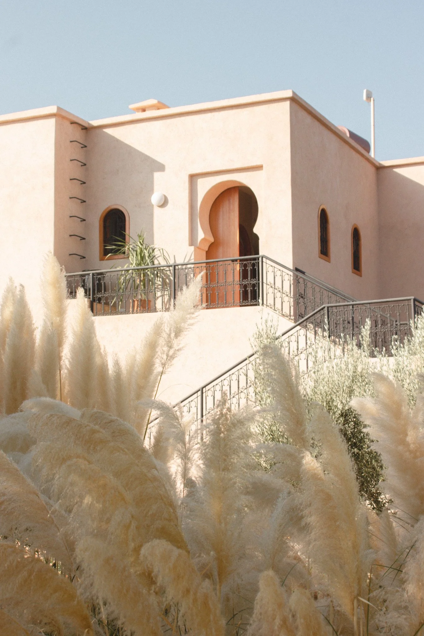 A beige stucco house with arched windows and a balcony with decorative metal railing, surrounded by tall beige ornamental grasses and a few green plants.