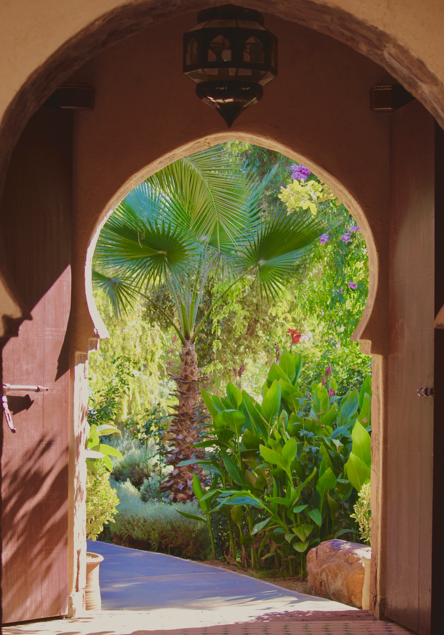 View through an arched doorway into a lush garden with a tall palm tree, large green leaves, and vibrant flowers, with sunlight filtering through.