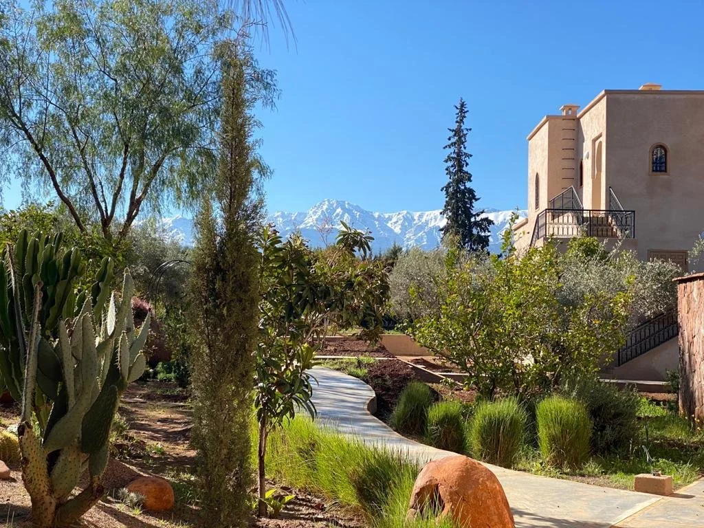 A winding sidewalk passing through a desert garden with cactus and green shrubs, with a beige house on the right and snow-capped mountains in the background under a clear blue sky.