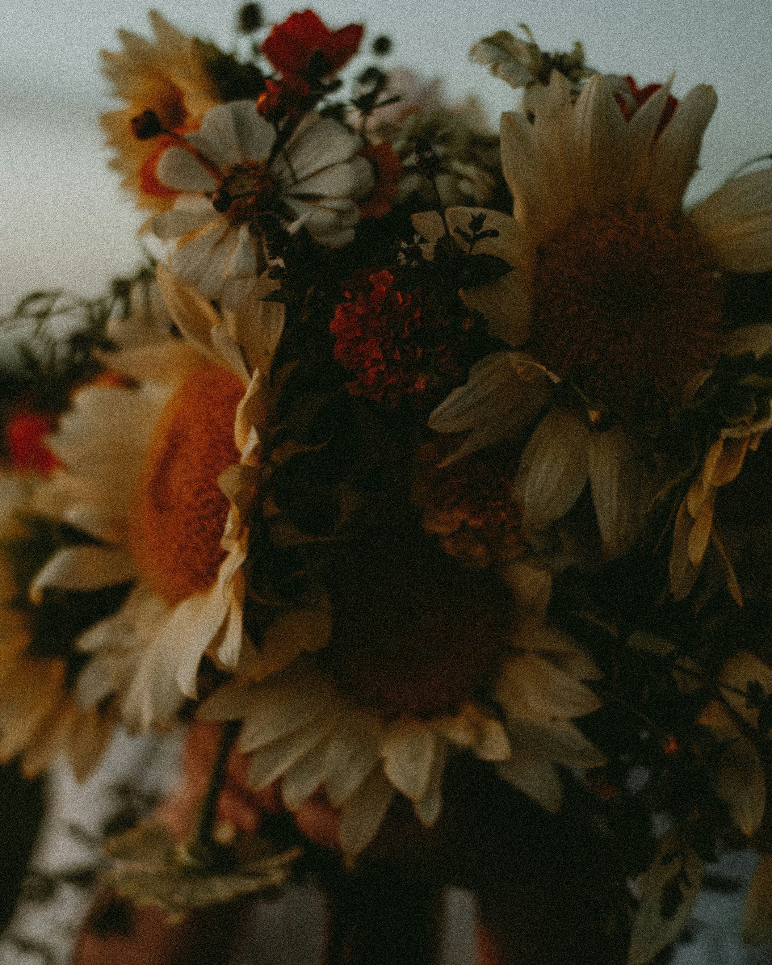 Close-up of a bouquet of flowers with white petals and some darker and red accents, illuminated by soft light.