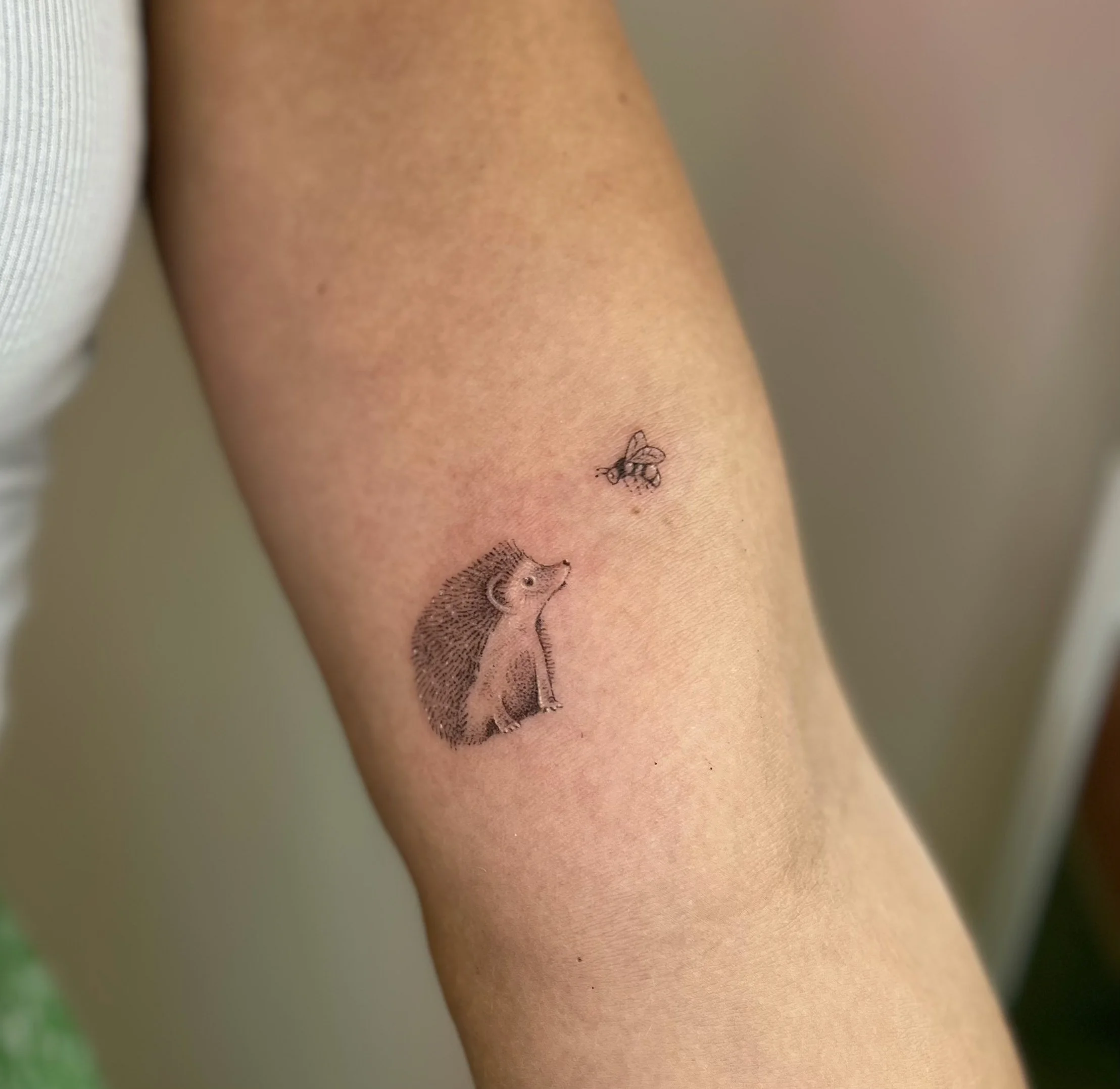 IMG_5408.jpg