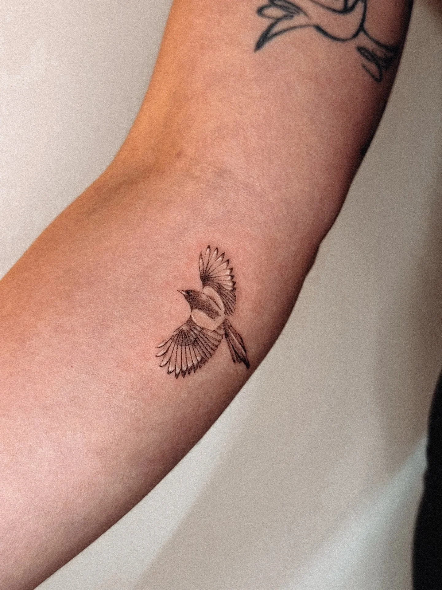 I love tattooing magpies. This one in particular has a fantastic tail, and really reminds me of watching them wag their big flight leathers up and down when they&rsquo;re interacting with the world around them, perched on a branch. My friend Rose pol