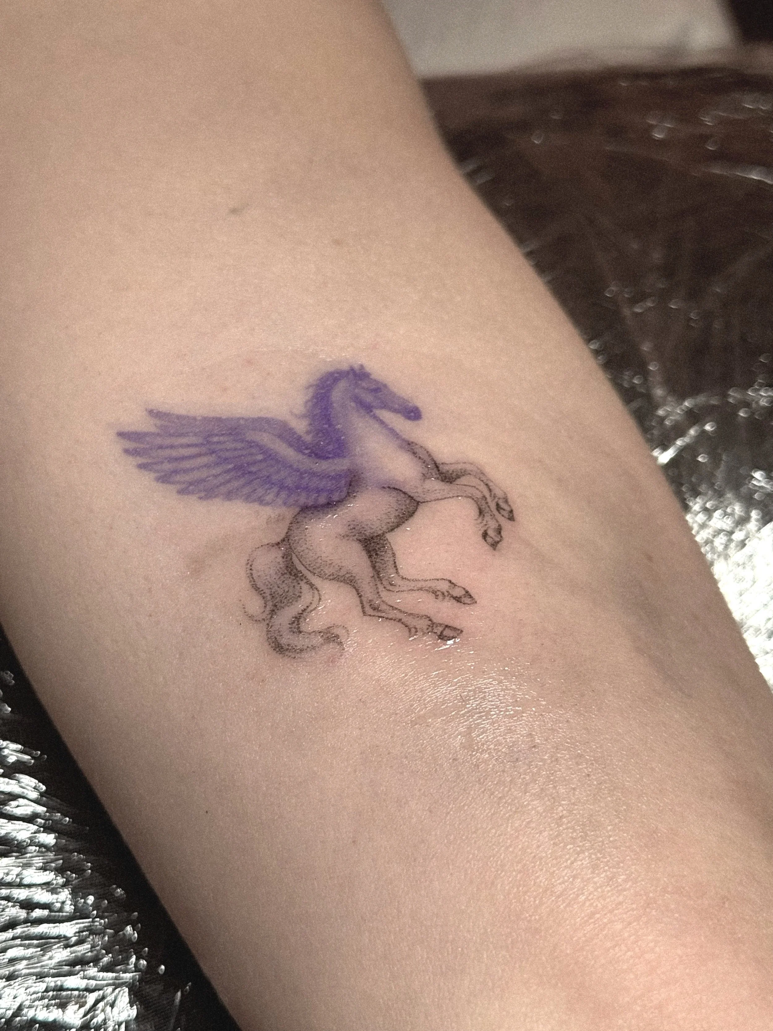 Pegasus