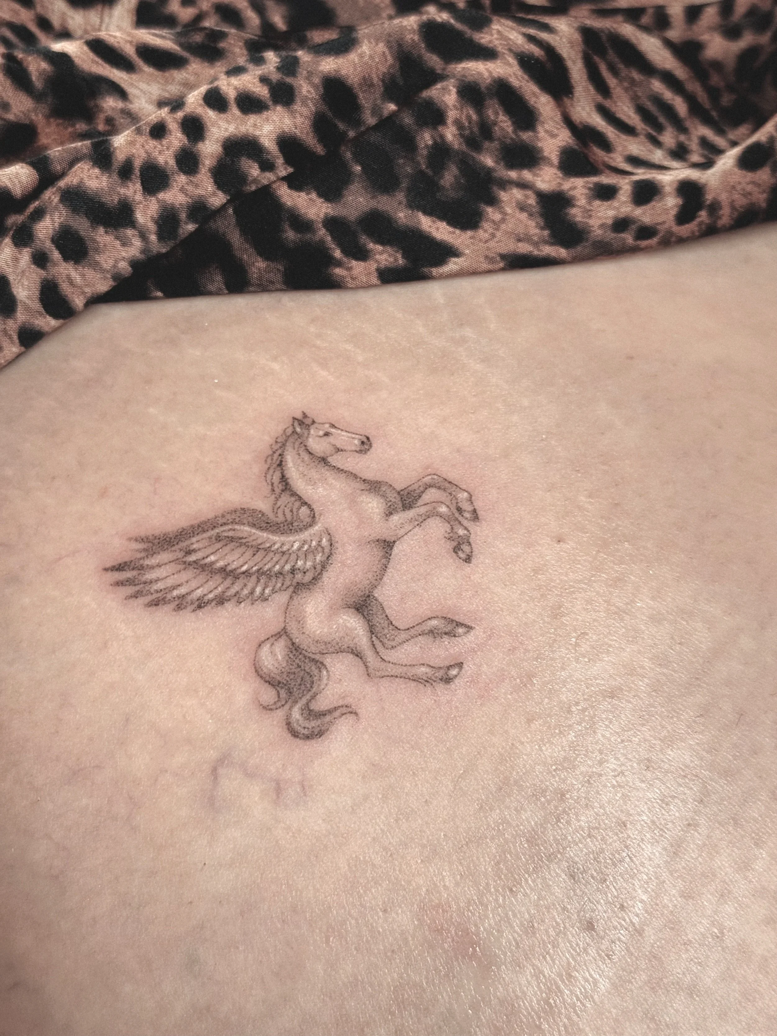 Pegasus