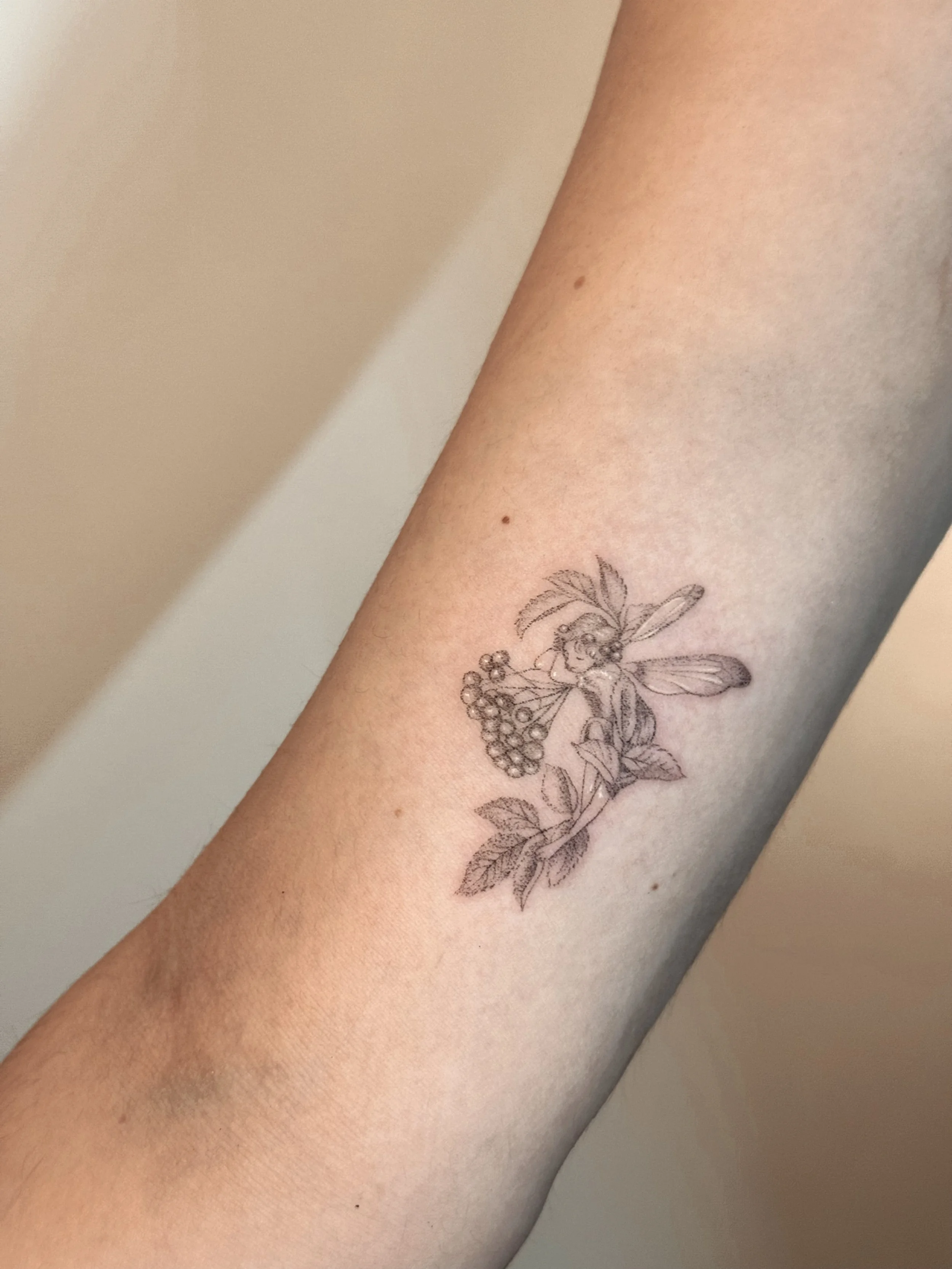 Elderberry Fairy