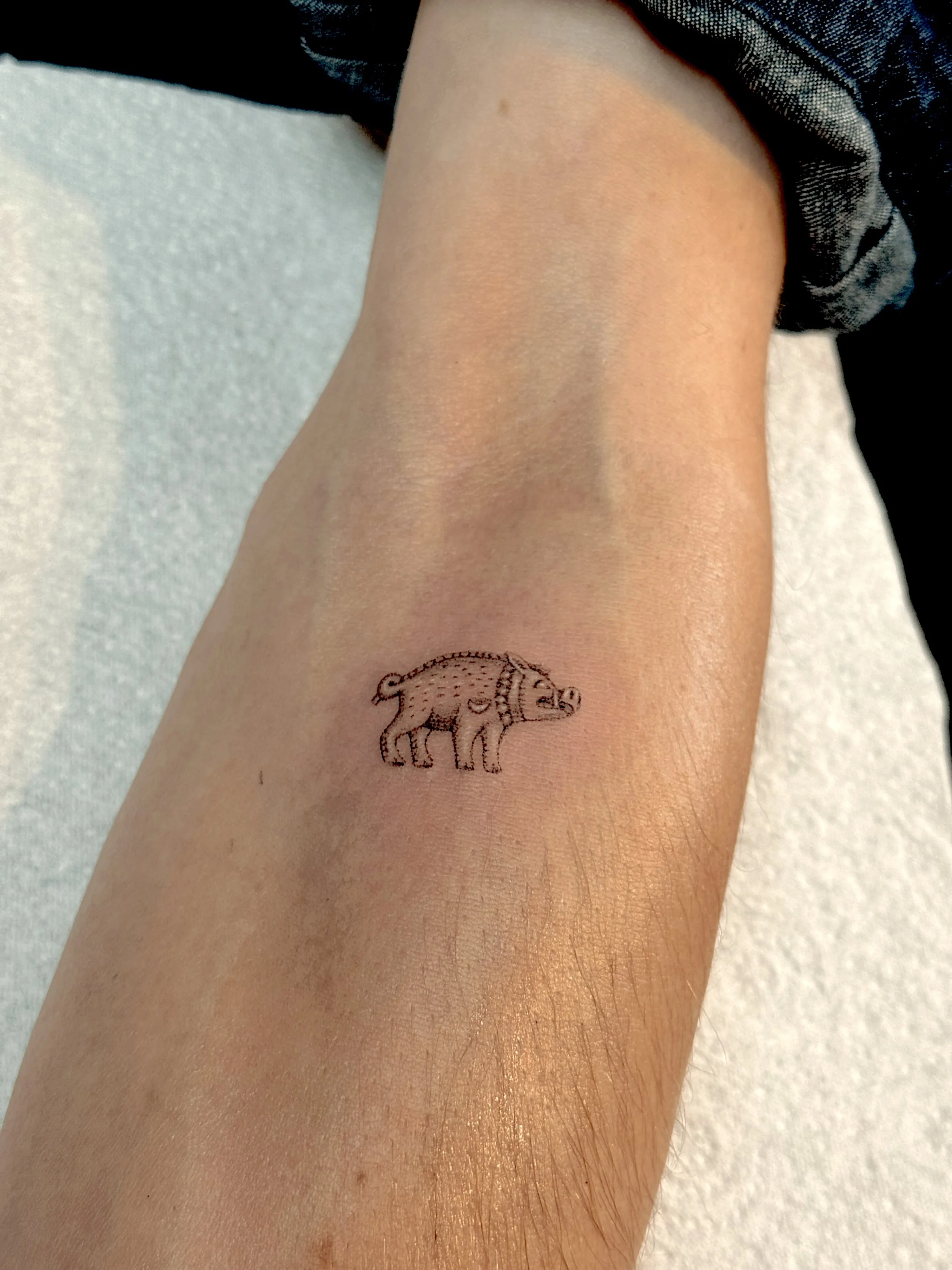 Medieval Warthog