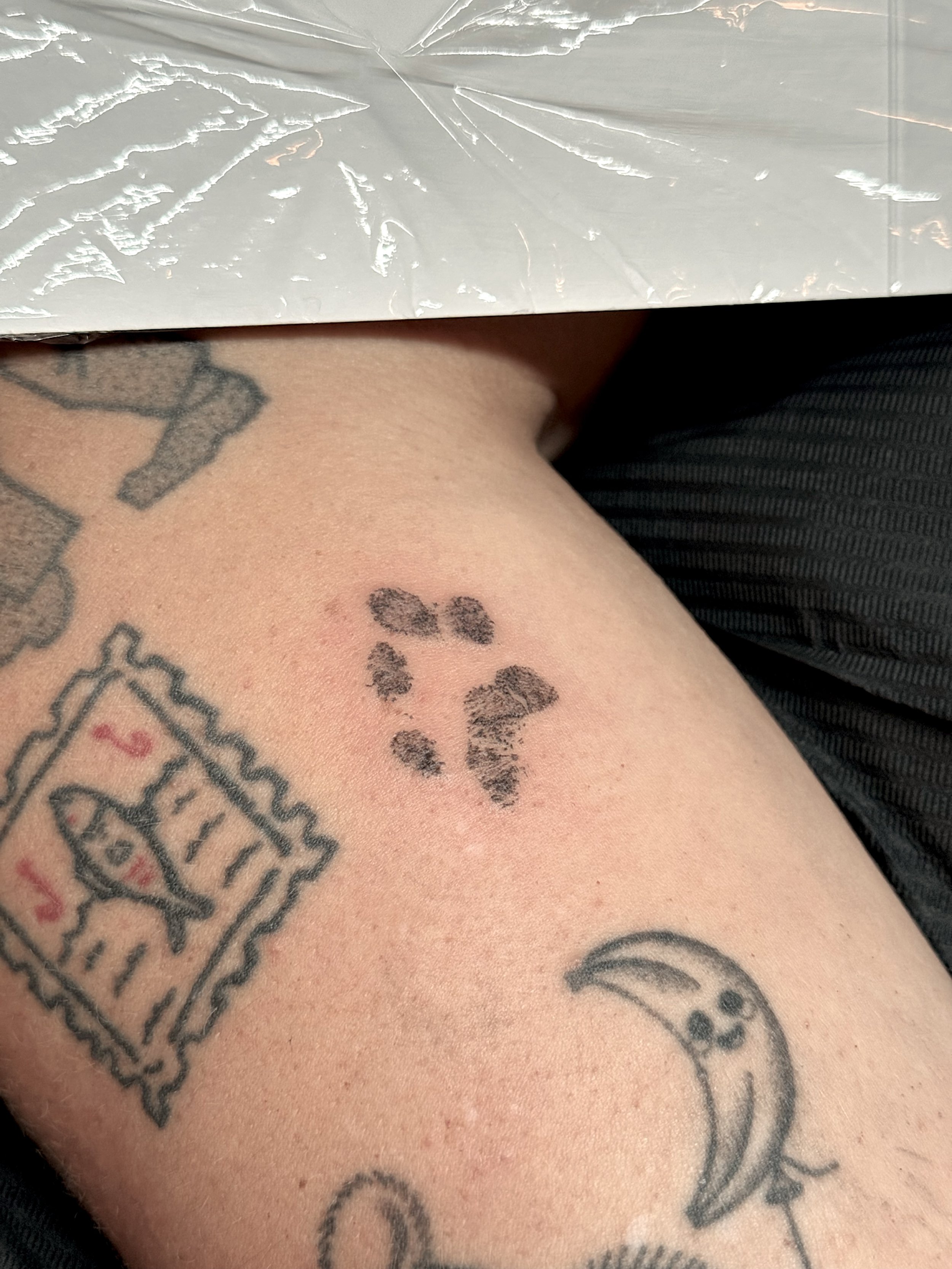 Paw Print.jpg