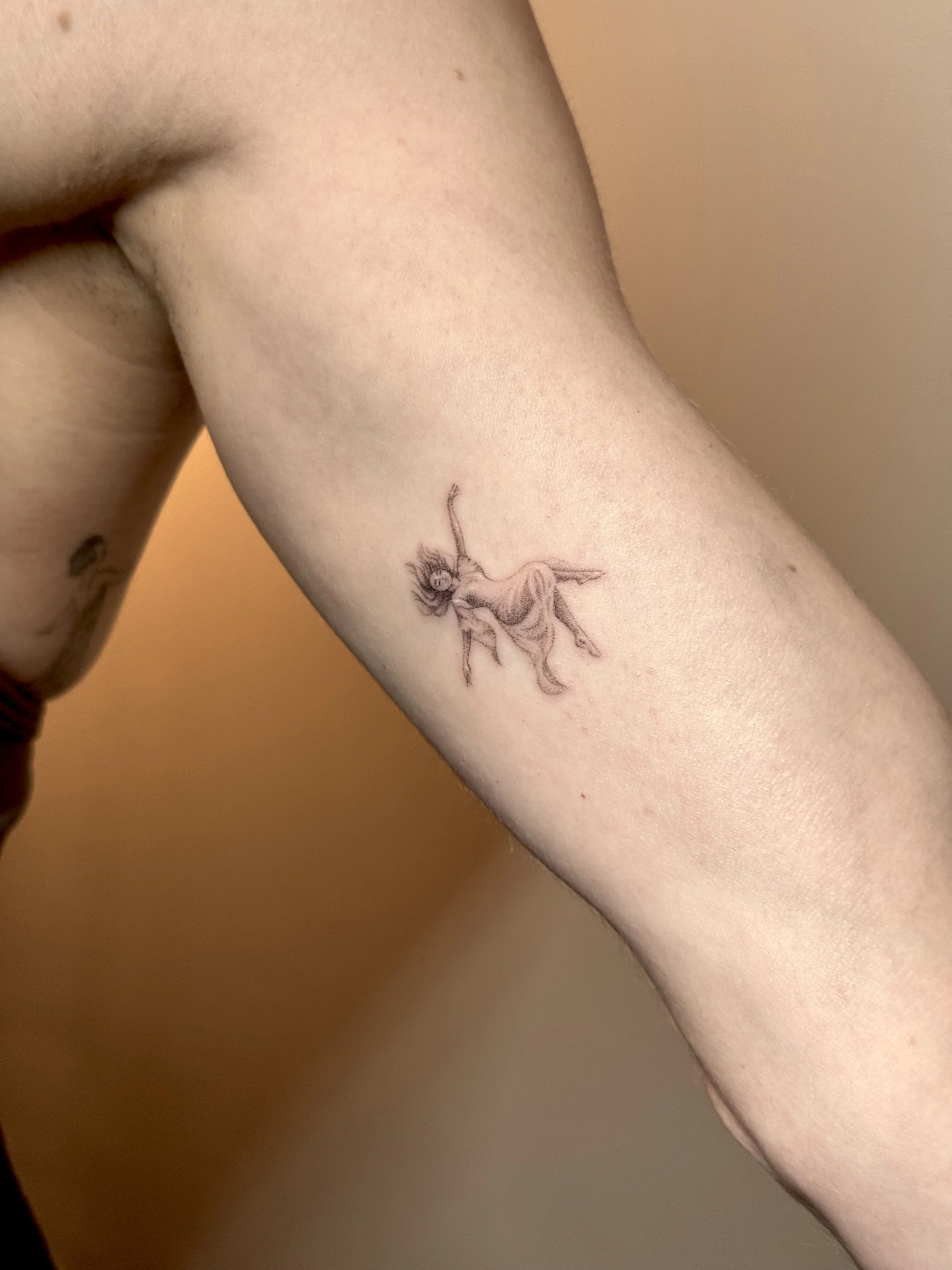 Falling Renaissance Woman