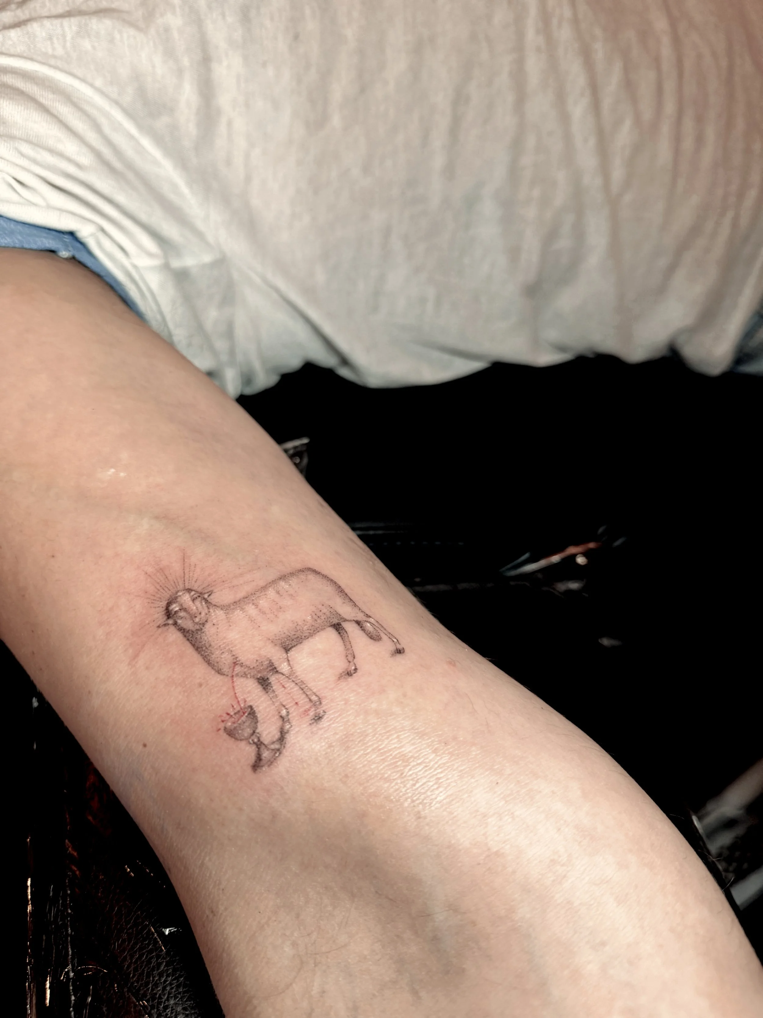The Lamb of God