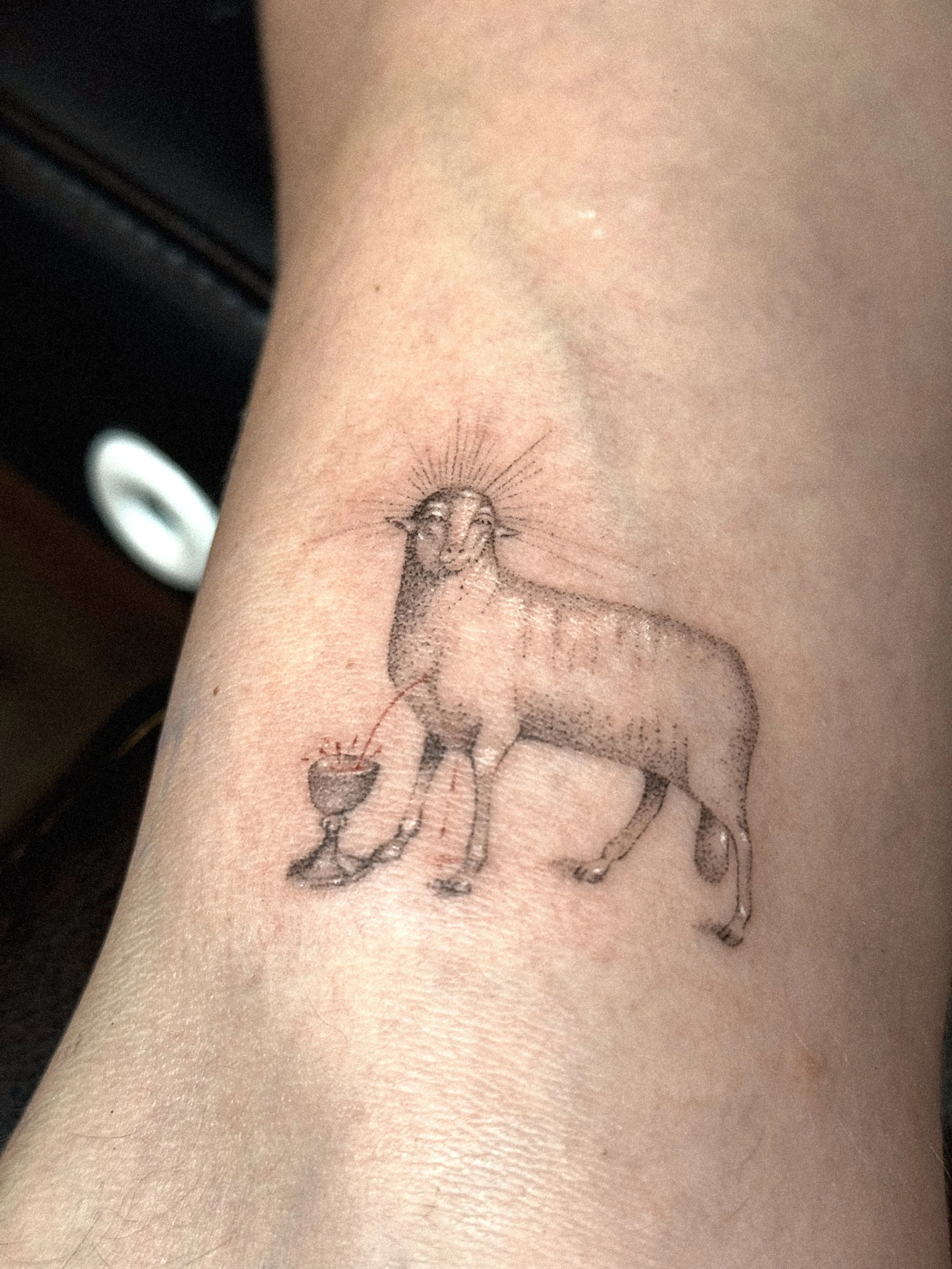 The Lamb of God