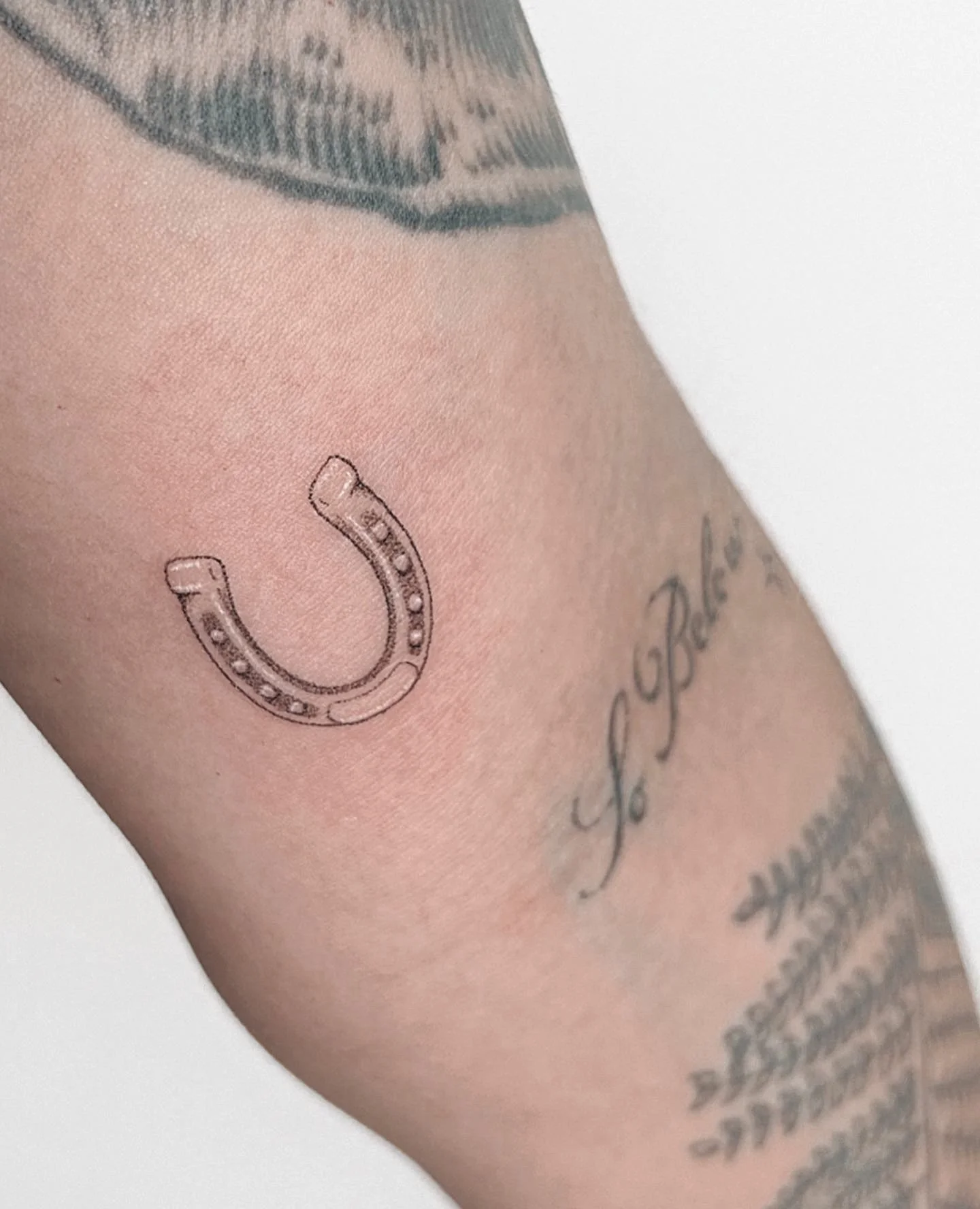 Horseshoe
