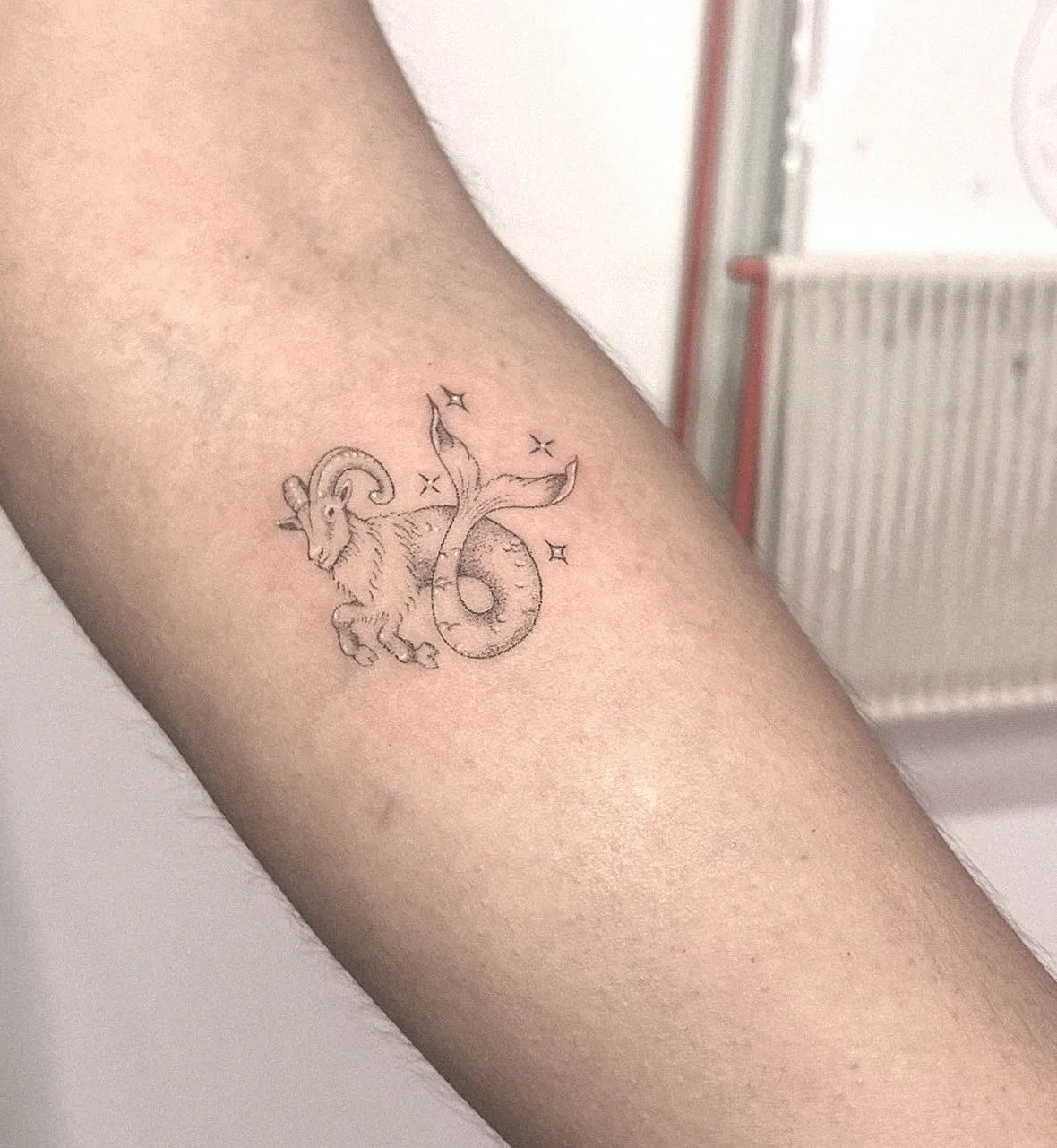 Capricorn