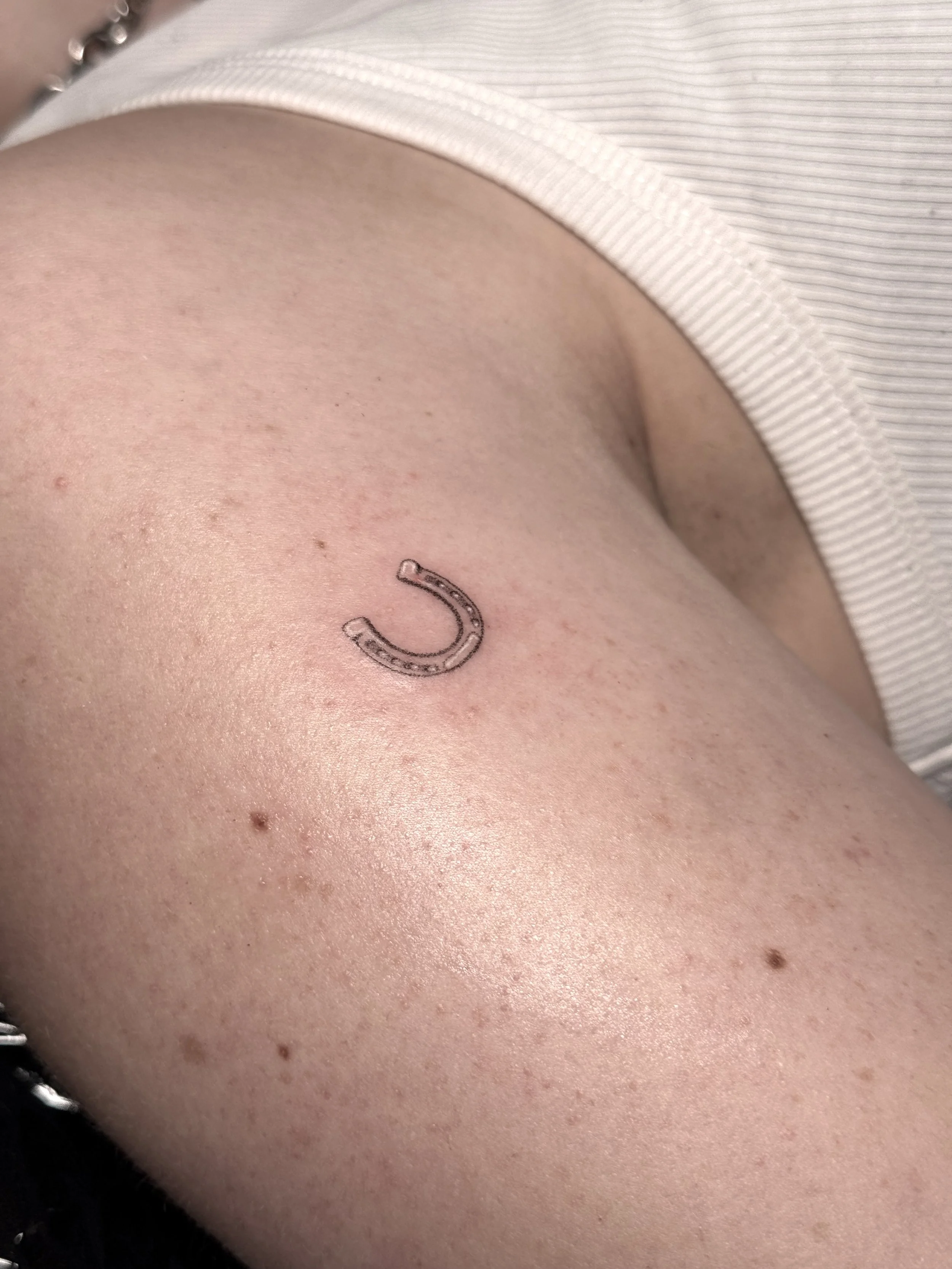 Tiny Horseshoe