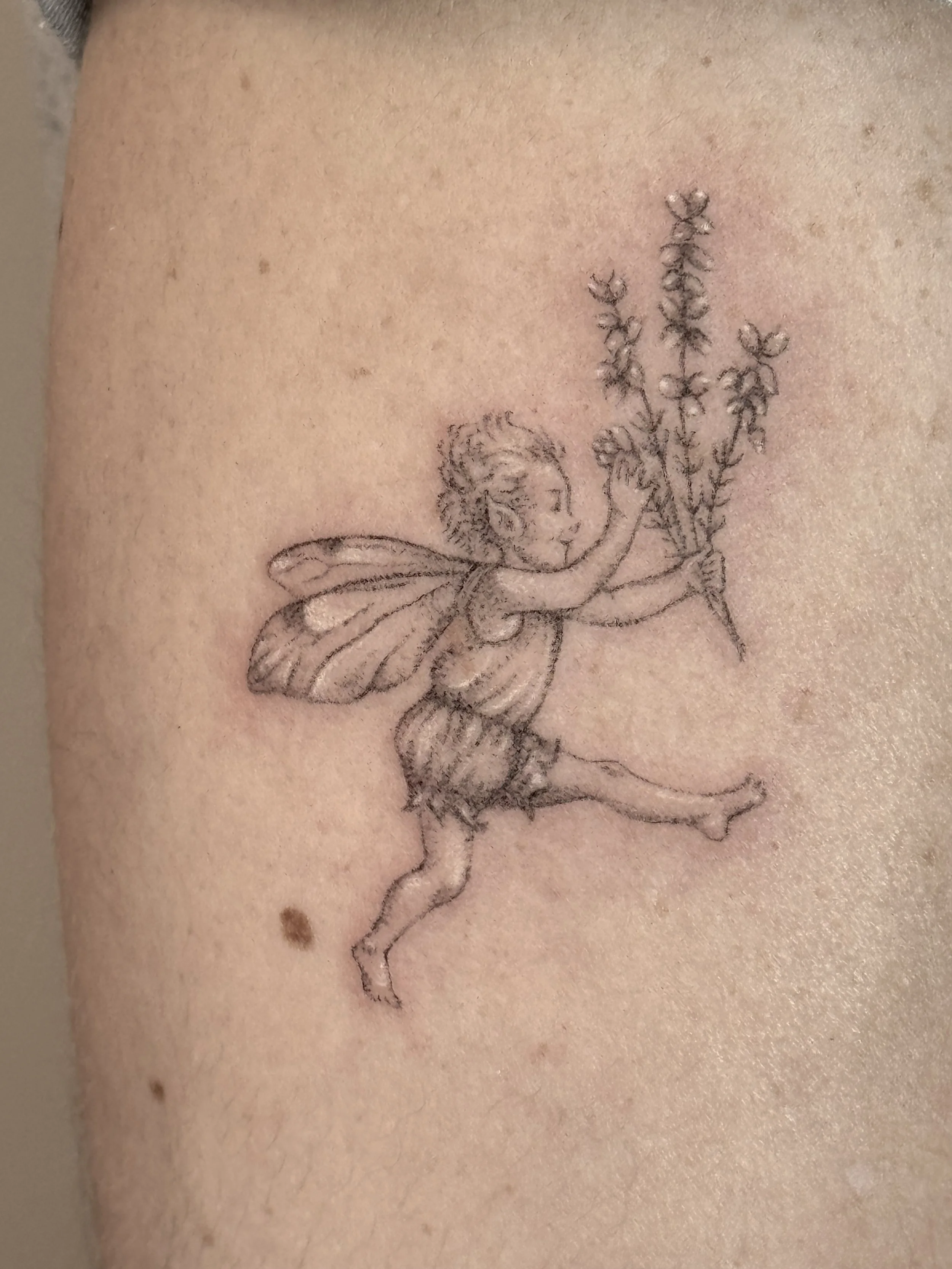 Heather Fairy