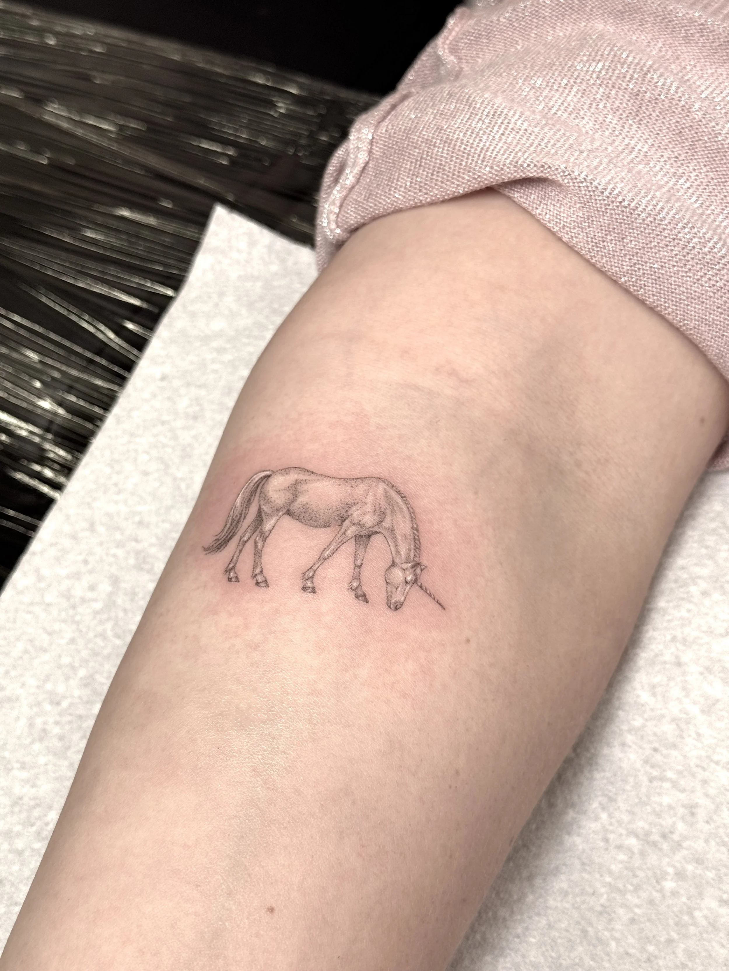 Unicorn 