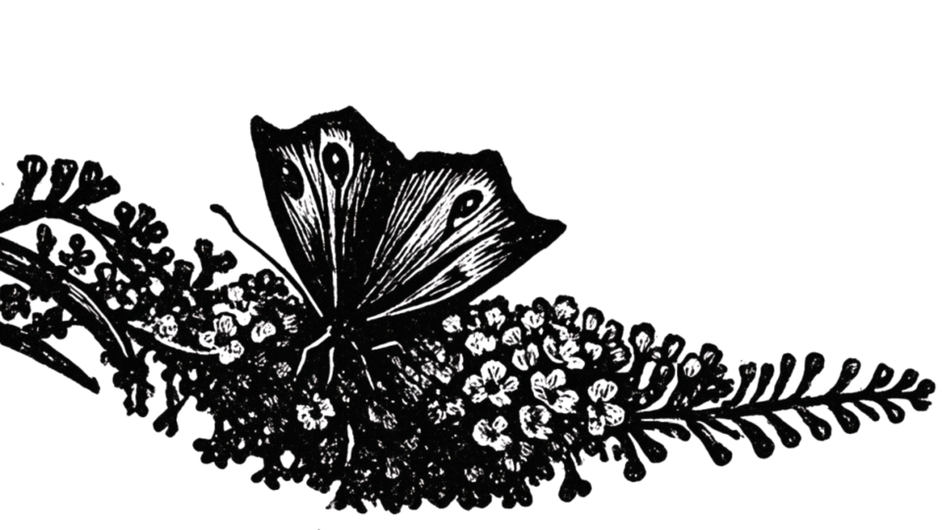 Black and white illustration of a butterfly resting on a branch of flowers and leaves.