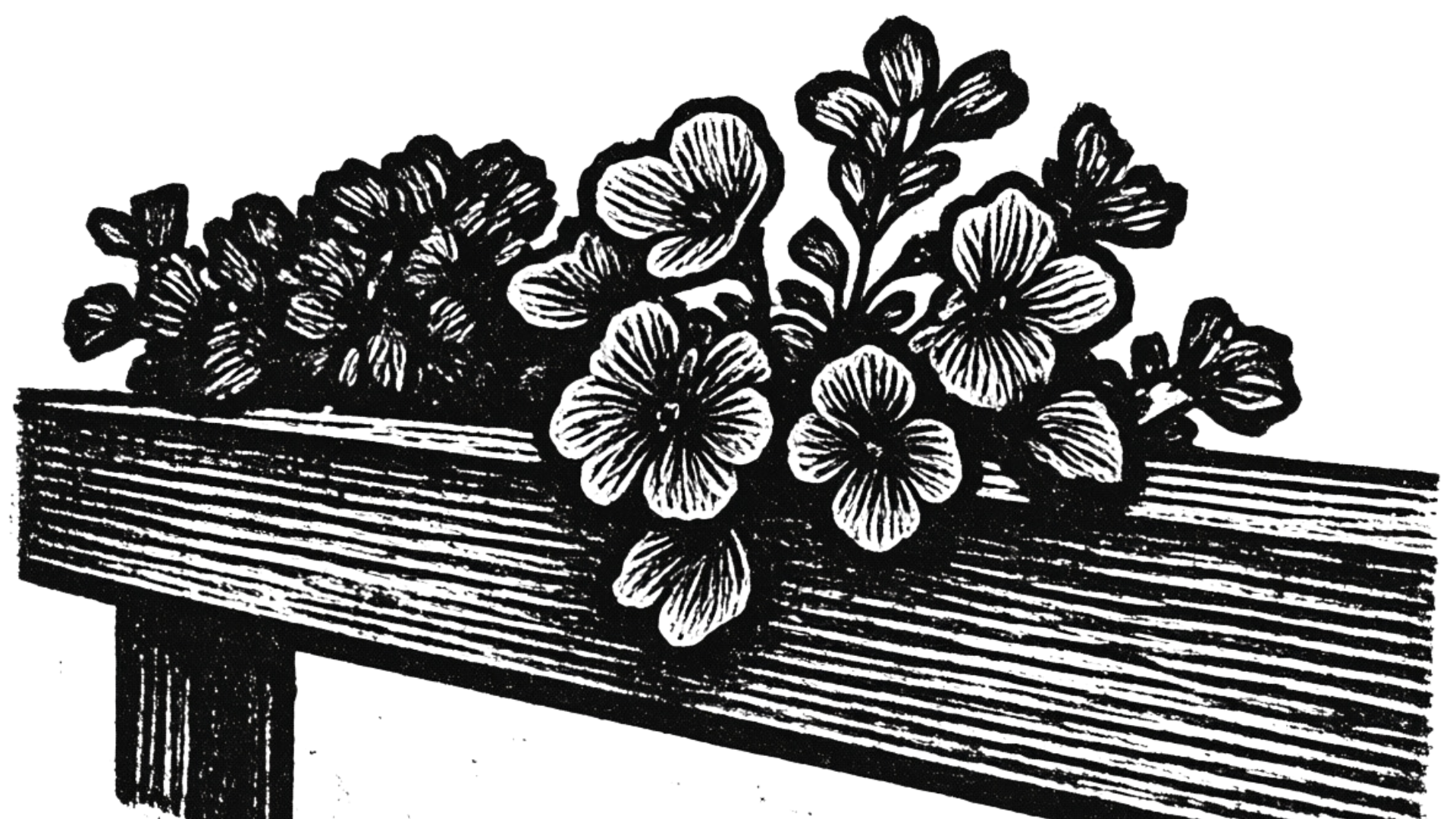 Black-and-white illustration of a bouquet of flowers on a wooden bench or table.