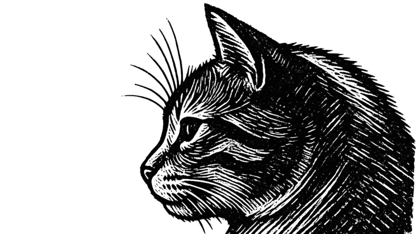 Black and white illustration of a cat in profile, showing detailed fur, whiskers, and pointed ears.