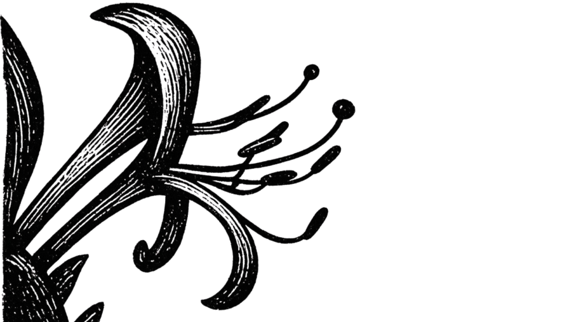 Close-up of black and white ornate decorative letter with intricate floral design.