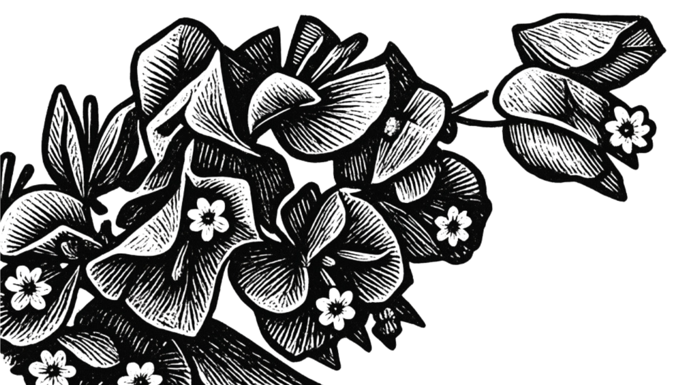 Black and white botanical illustration of flowers and leaves.
