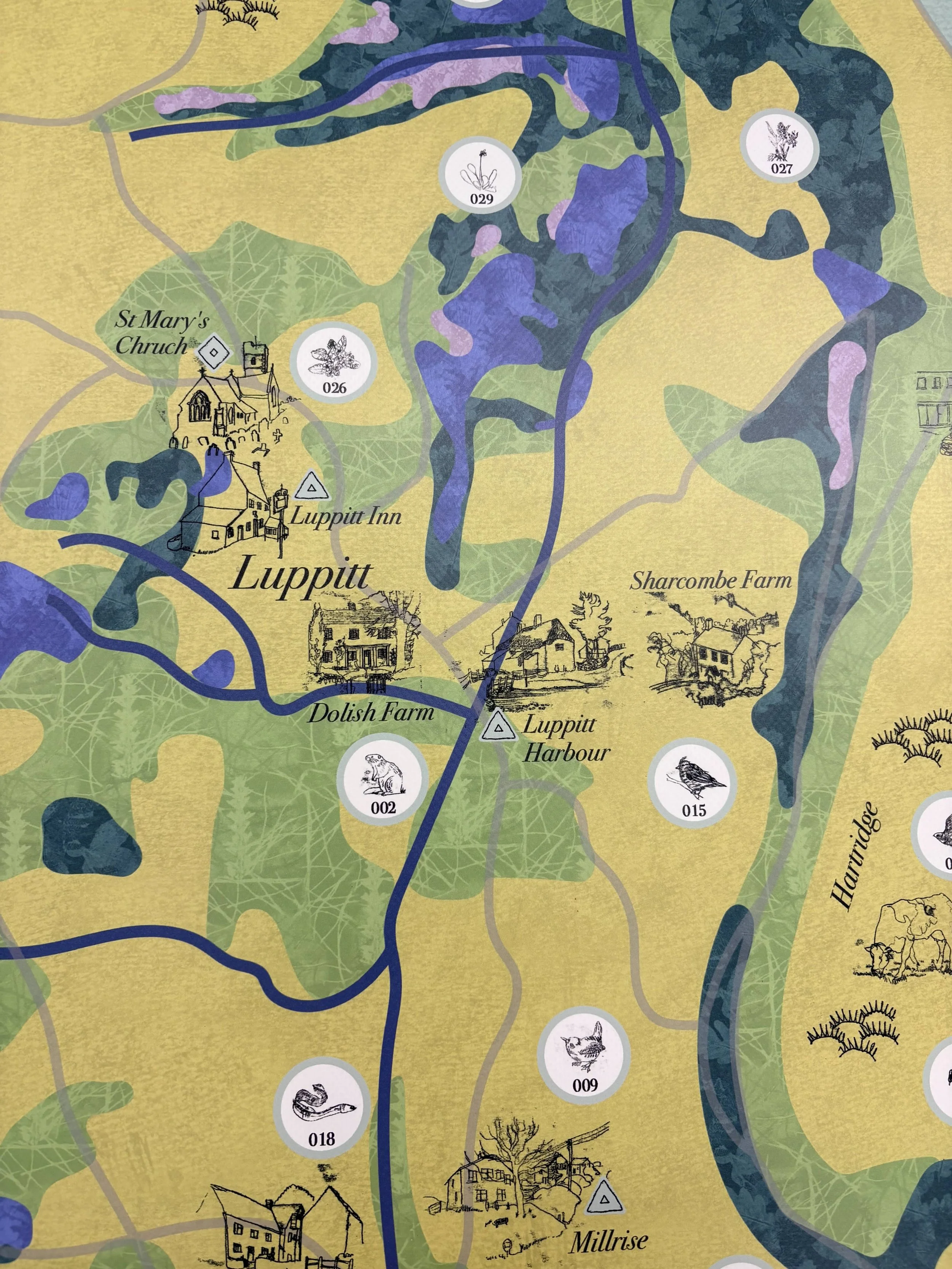 luppitt map 2.jpg