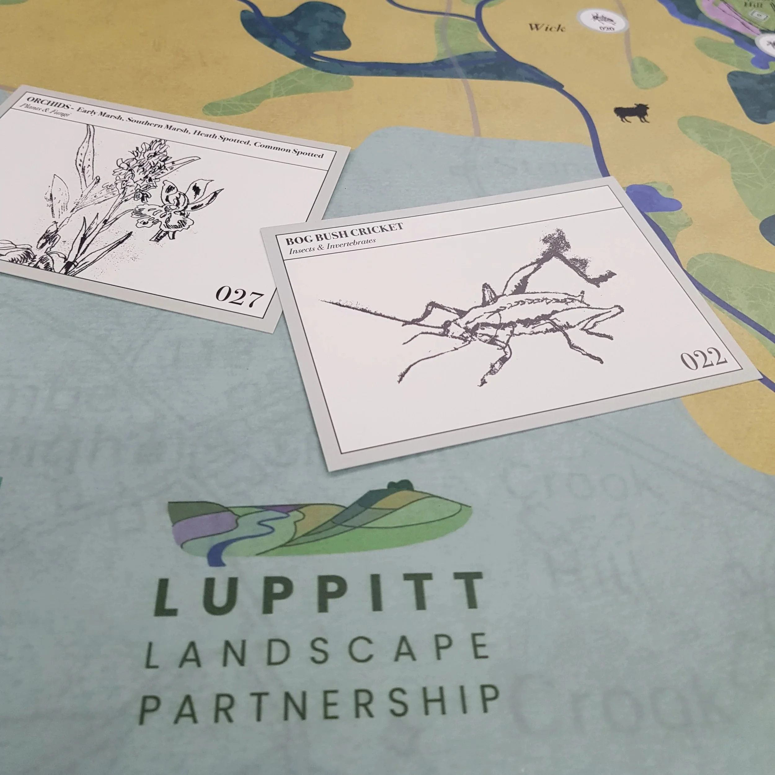 Luppitt Landscape Recovery Project