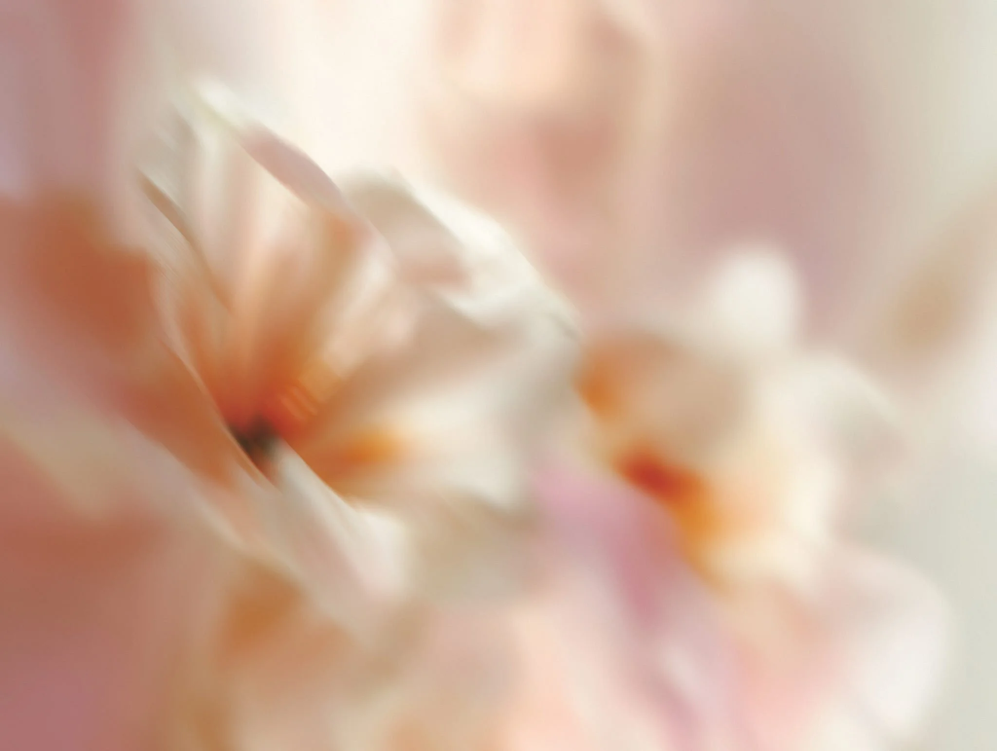blume and blossom luxury floral design