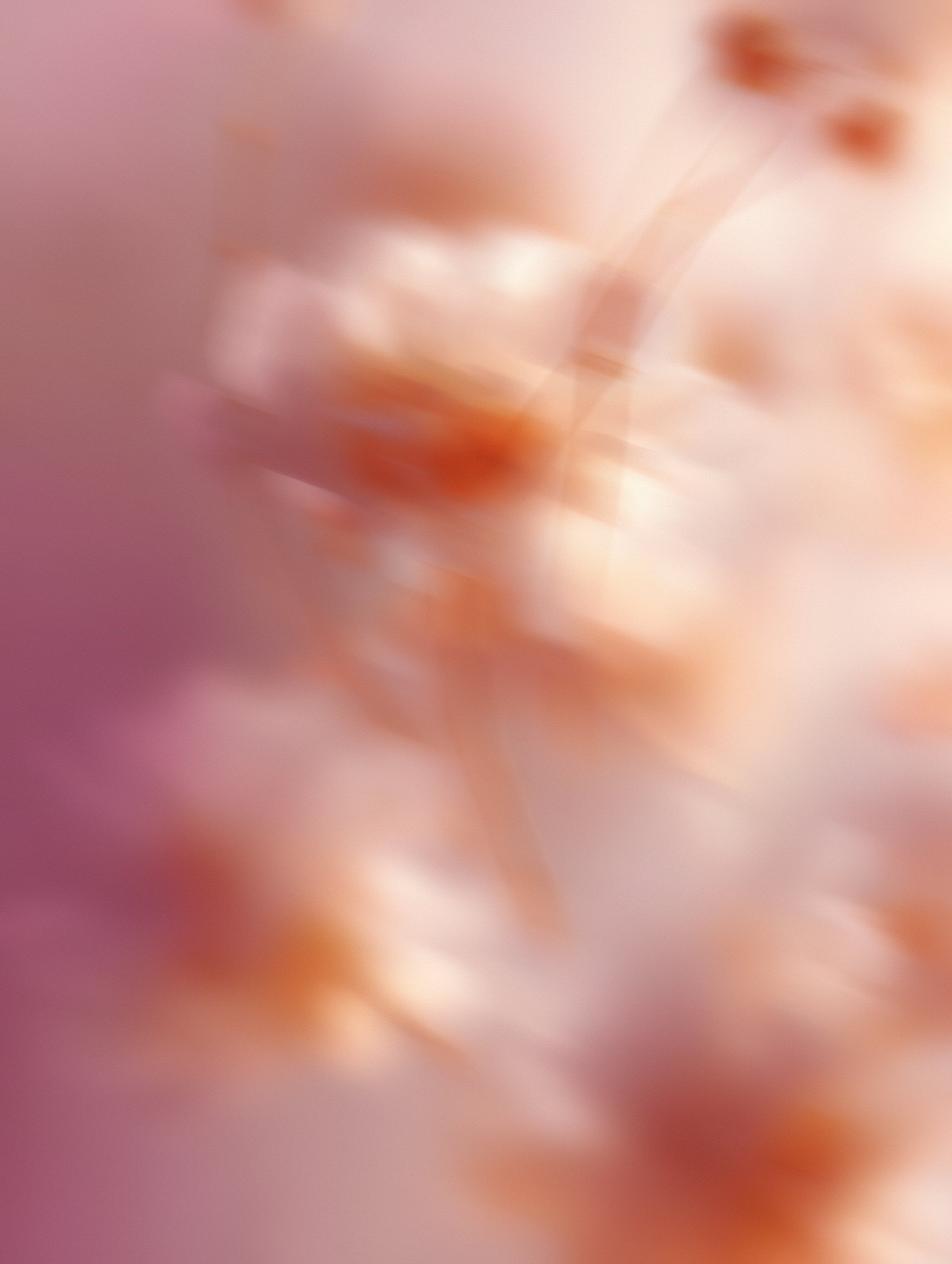 blume and blossom luxury floral design