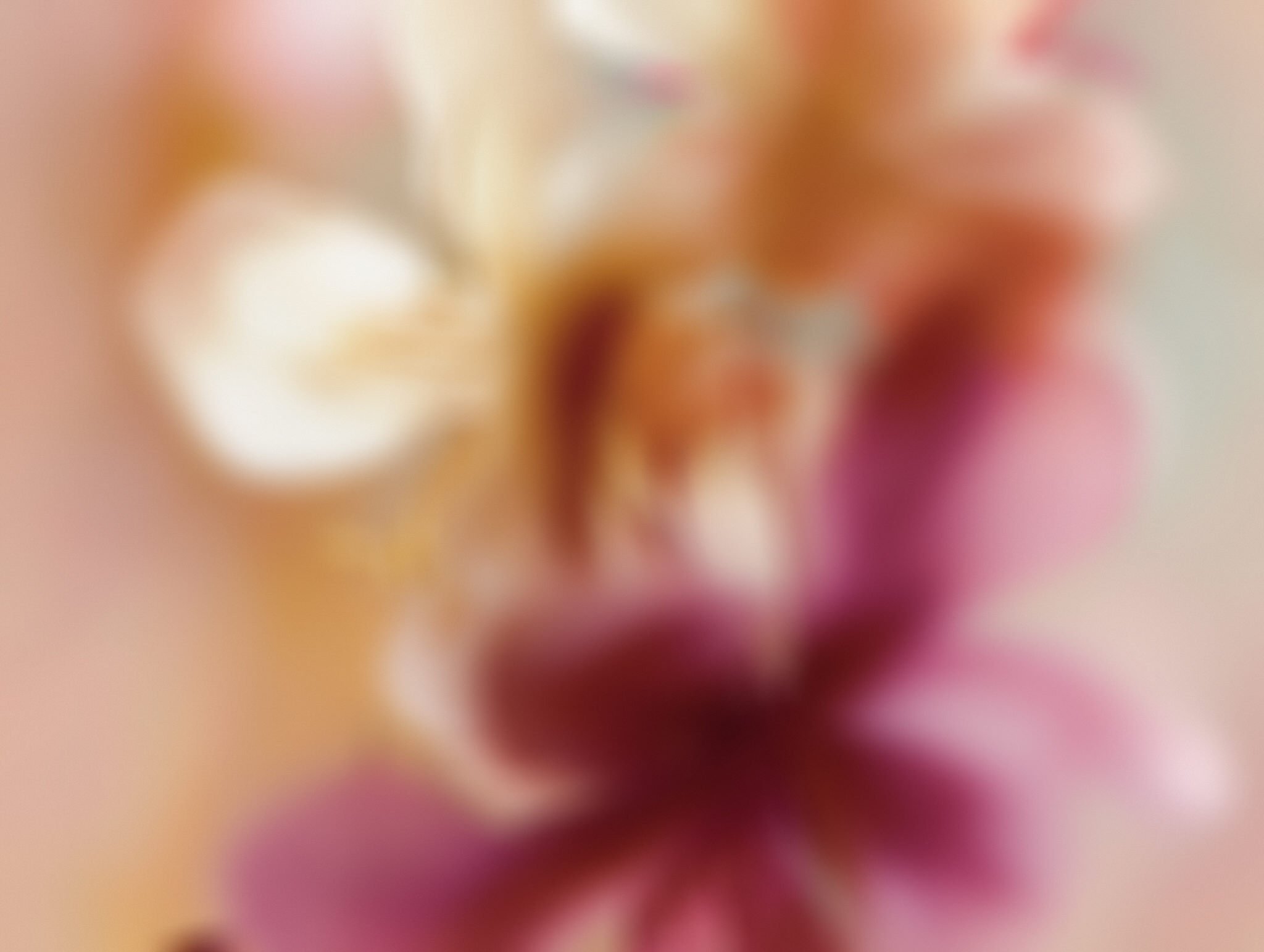 blume and blossom luxury floral design