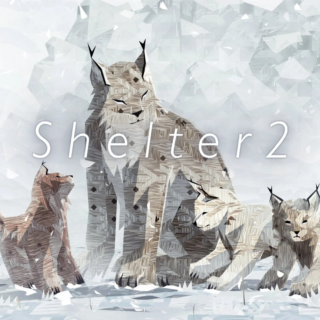 Shelter2.jpg