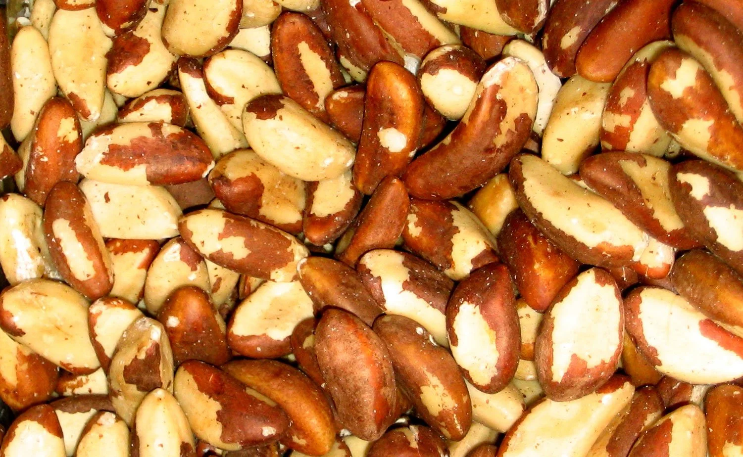 Could Just Four Brazil Nuts a Month Help Lower Cholesterol?