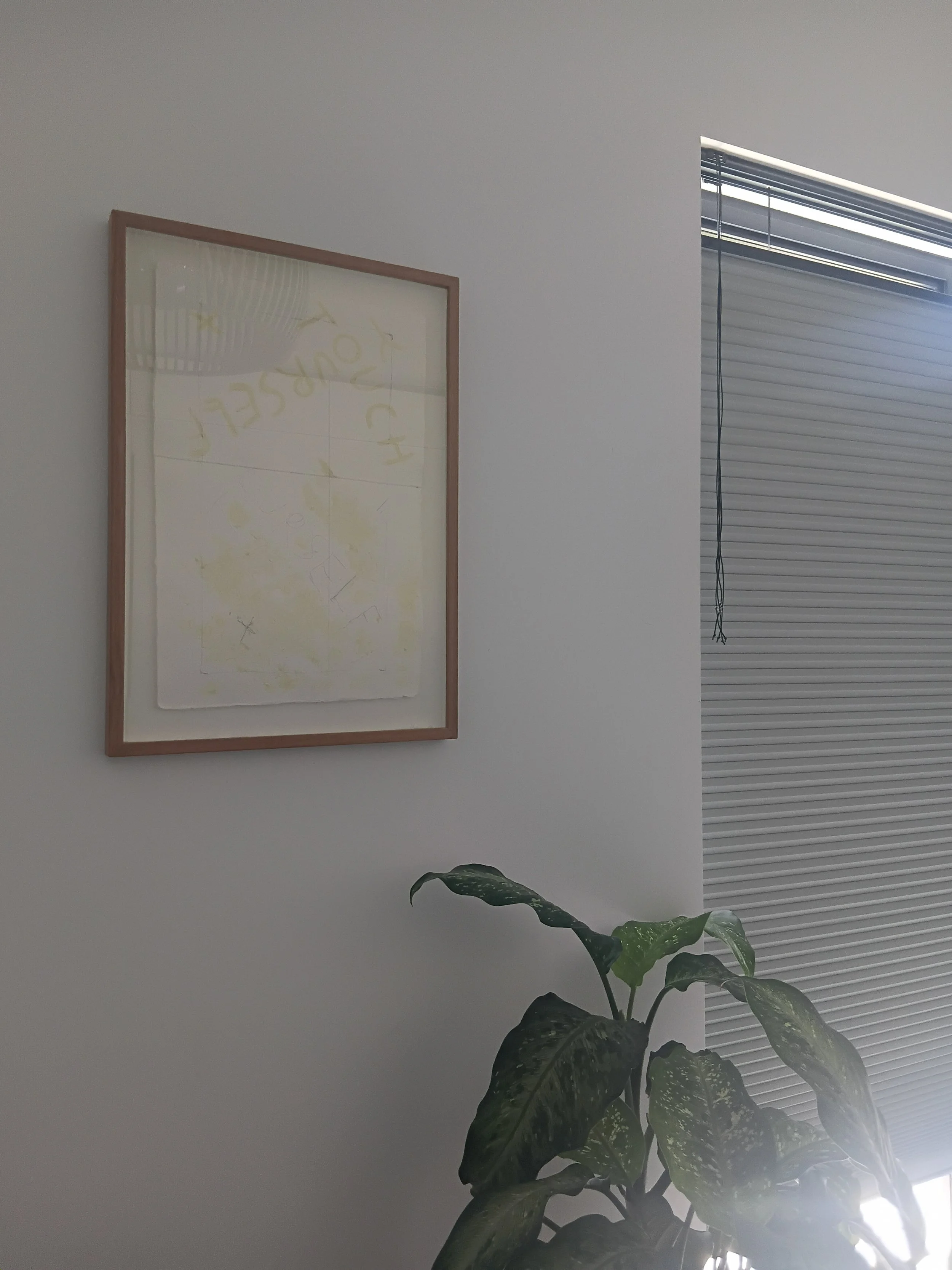 A framed abstract art piece hangs on a white wall, and a houseplant with large, dark green leaves is in front of a window with closed horizontal blinds.