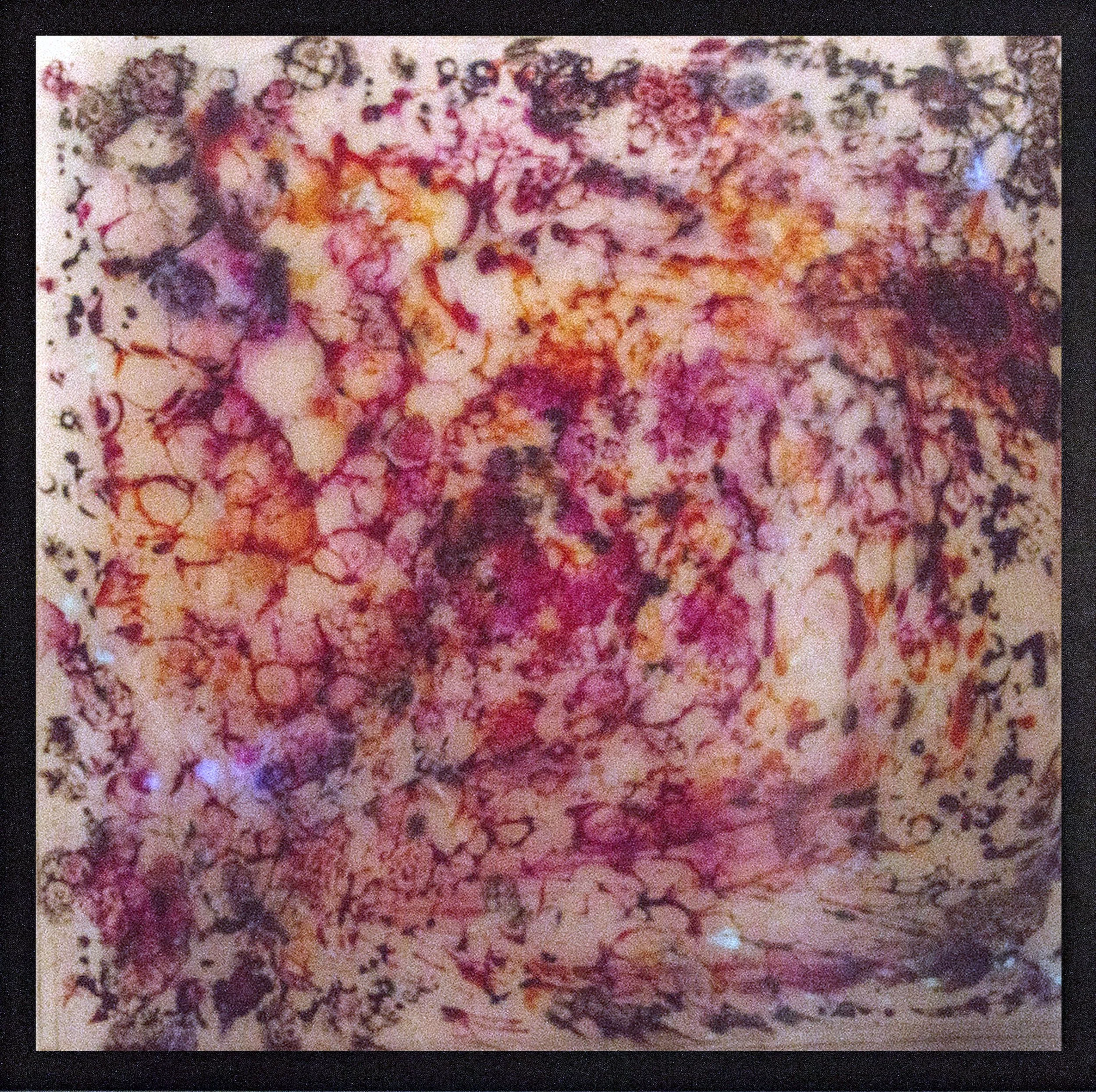 Living galleries
2018
Resin and luminous pigments
90cm x 90cm