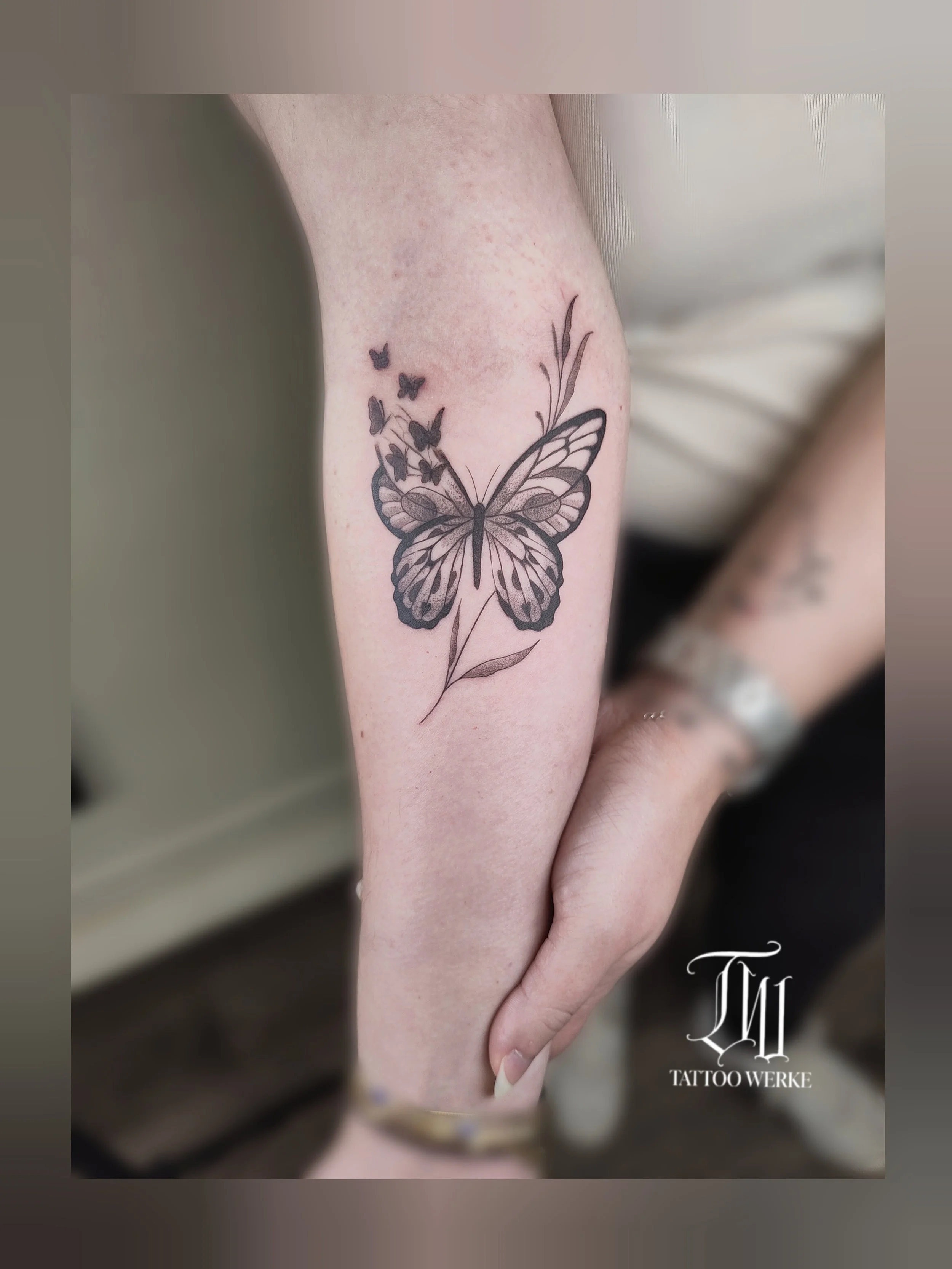 Schwarze Schmetterling-Tattoos auf einem menschlichen Arm, begleitet von dünnen Gräsern, in einem Tattoo-Studio