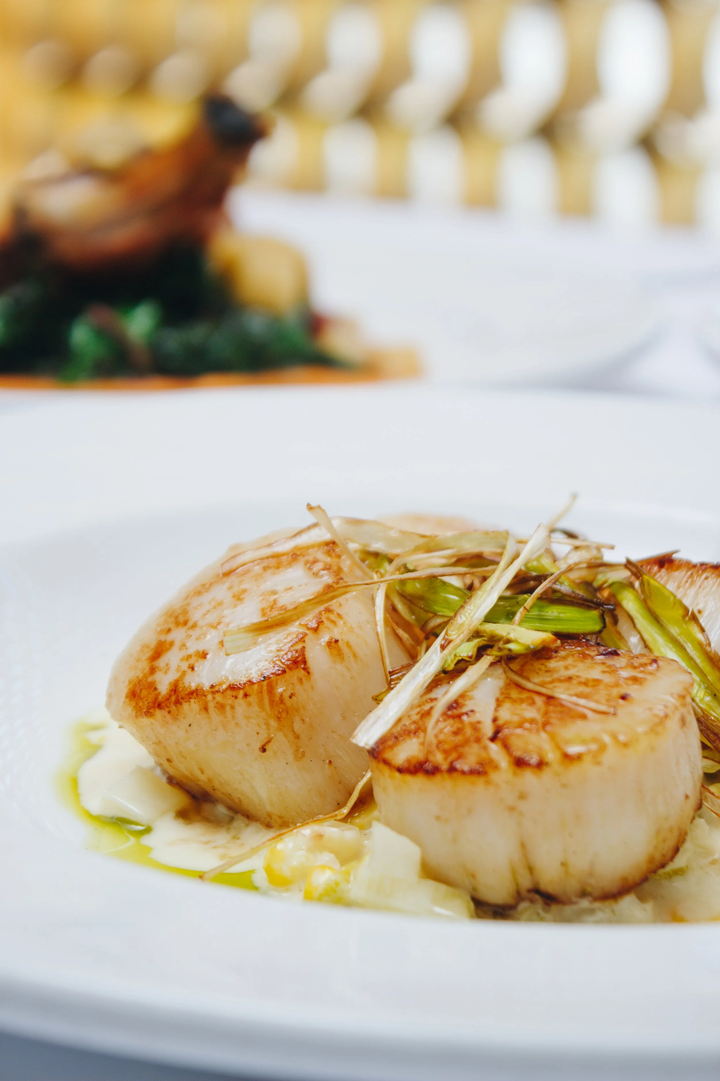 Close-up of cooked scallops garnished with green onions on a white plate with a blurred dish in the background.