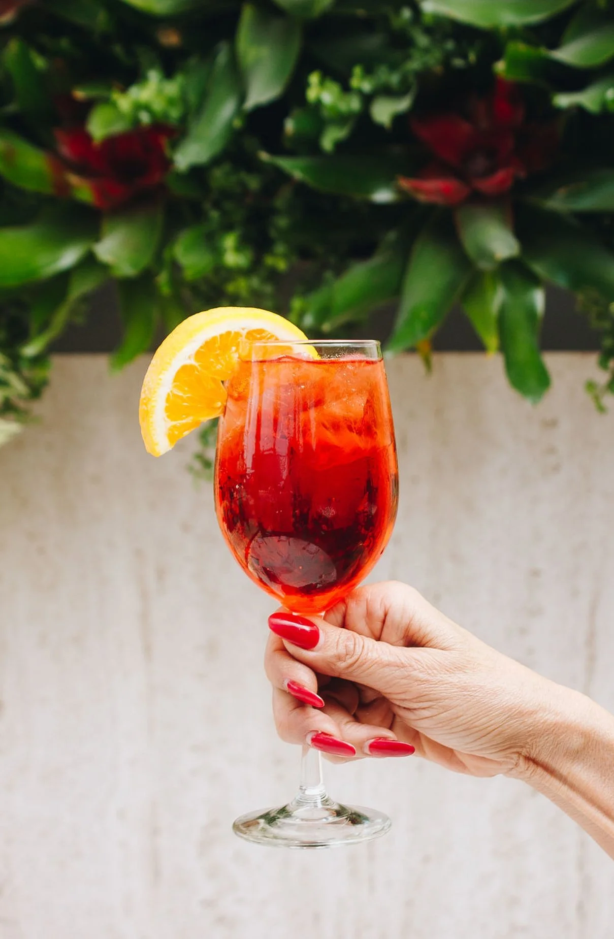 A hand holding a glass of red-colored cocktail garnished with a lemon wedge, with a blurred green plant background.