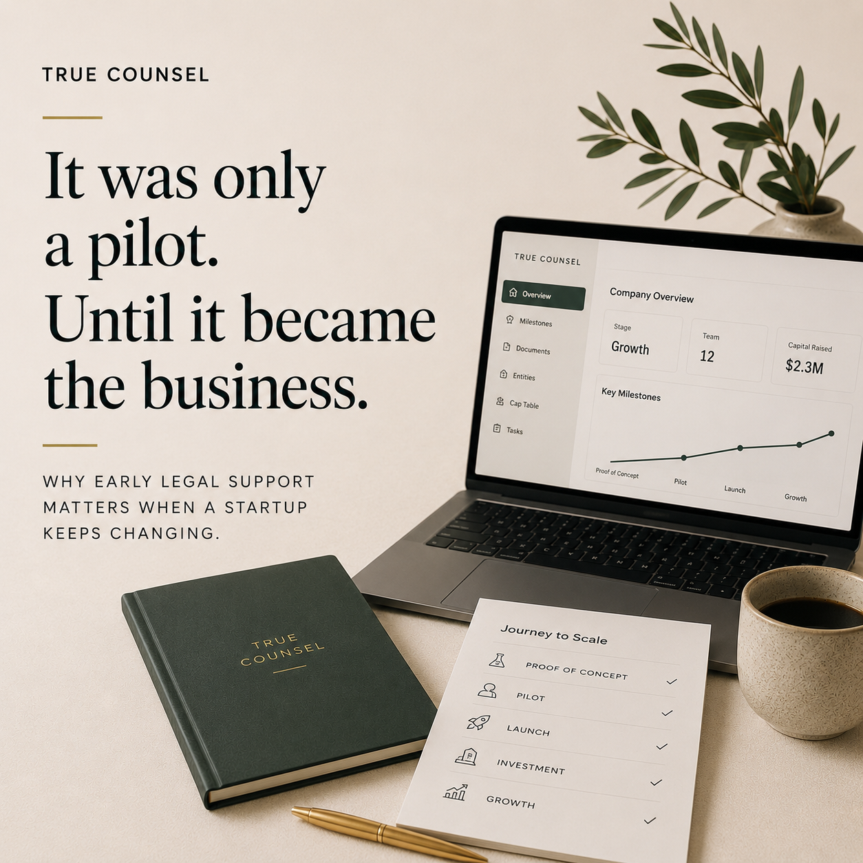 It was only a pilot. Until it became the business.