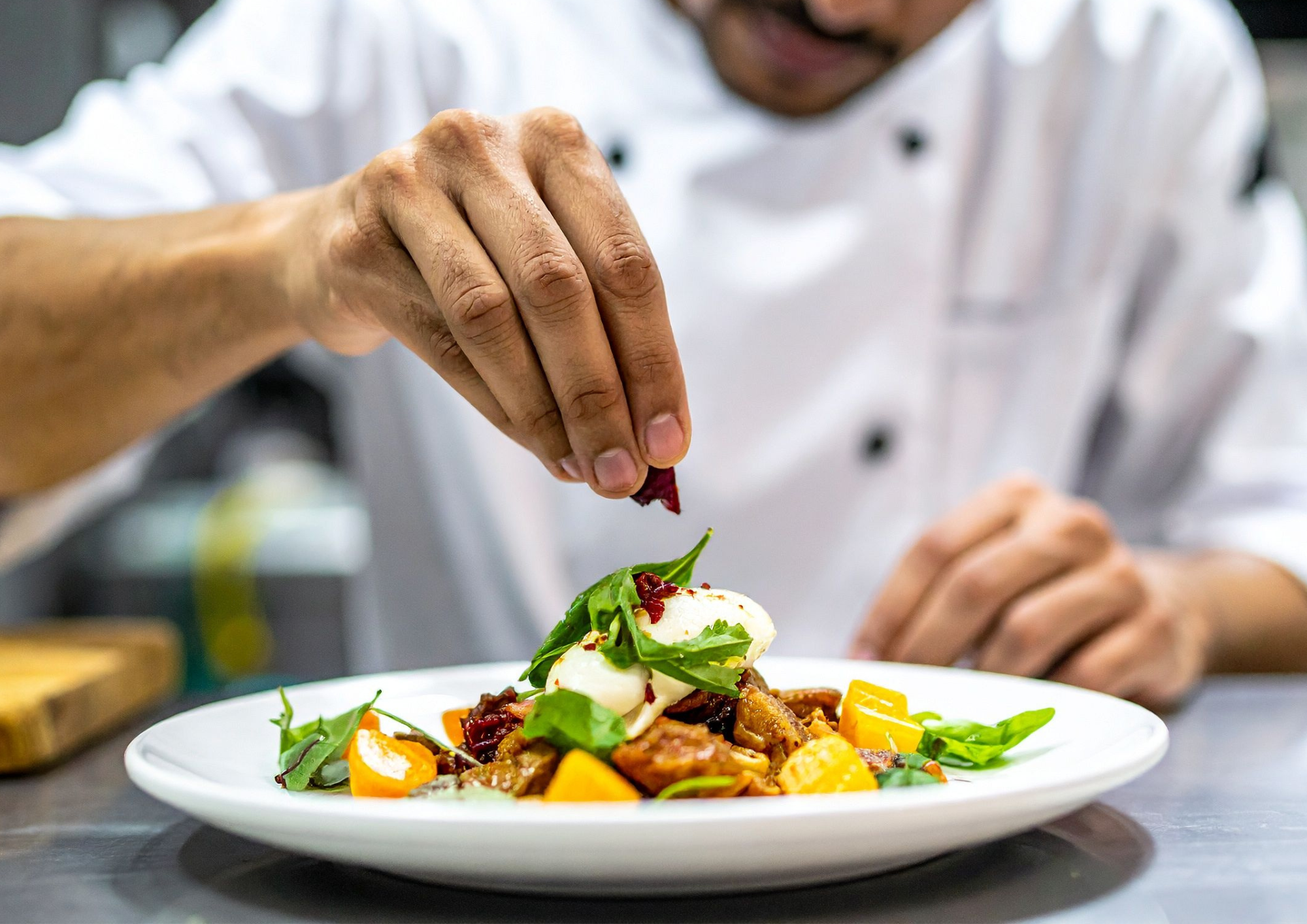 Chef catering a meal