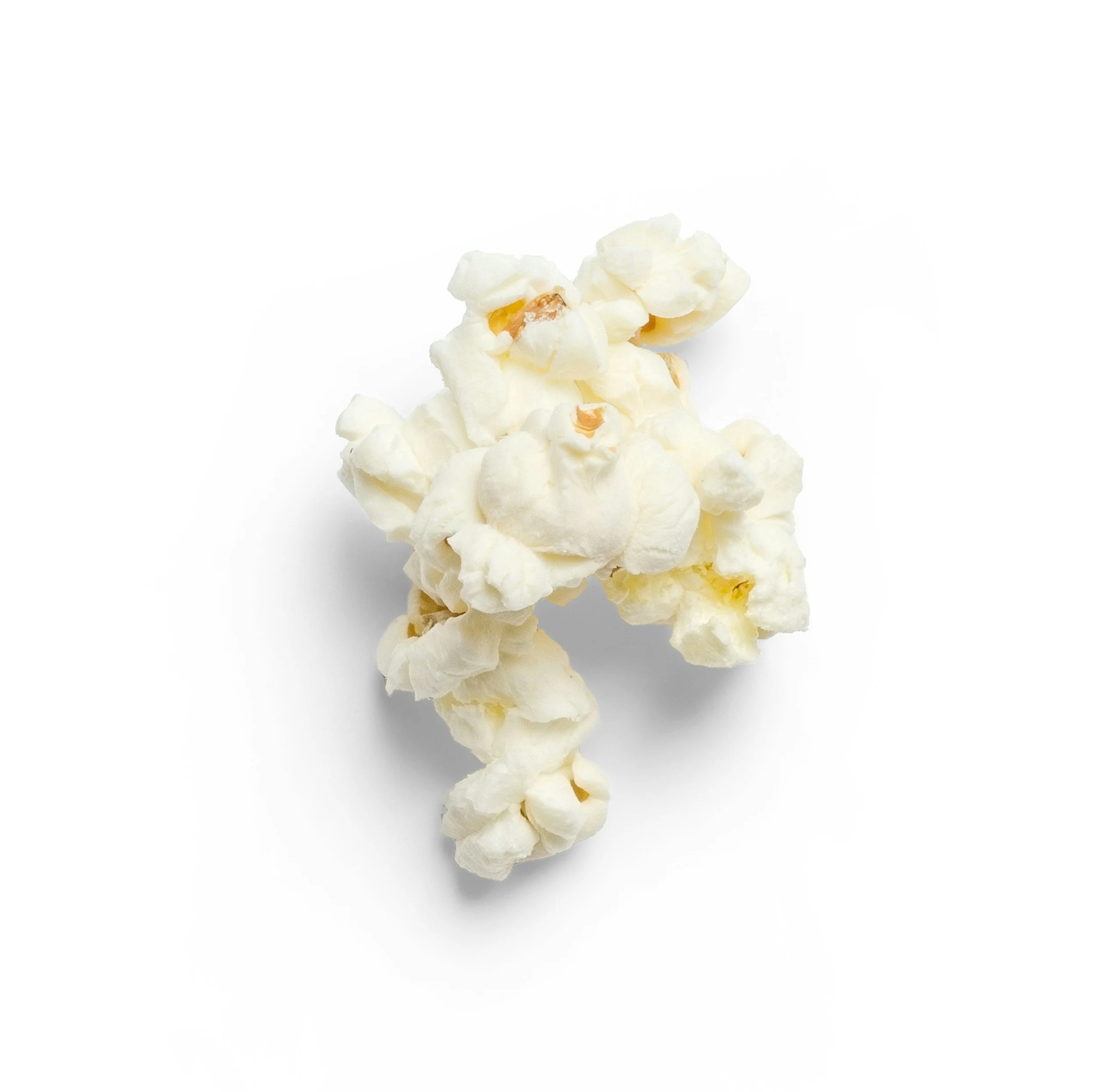 Kunstnerisk nærbillede af en flok af hvide popcorn centreret på en hvid baggrund.