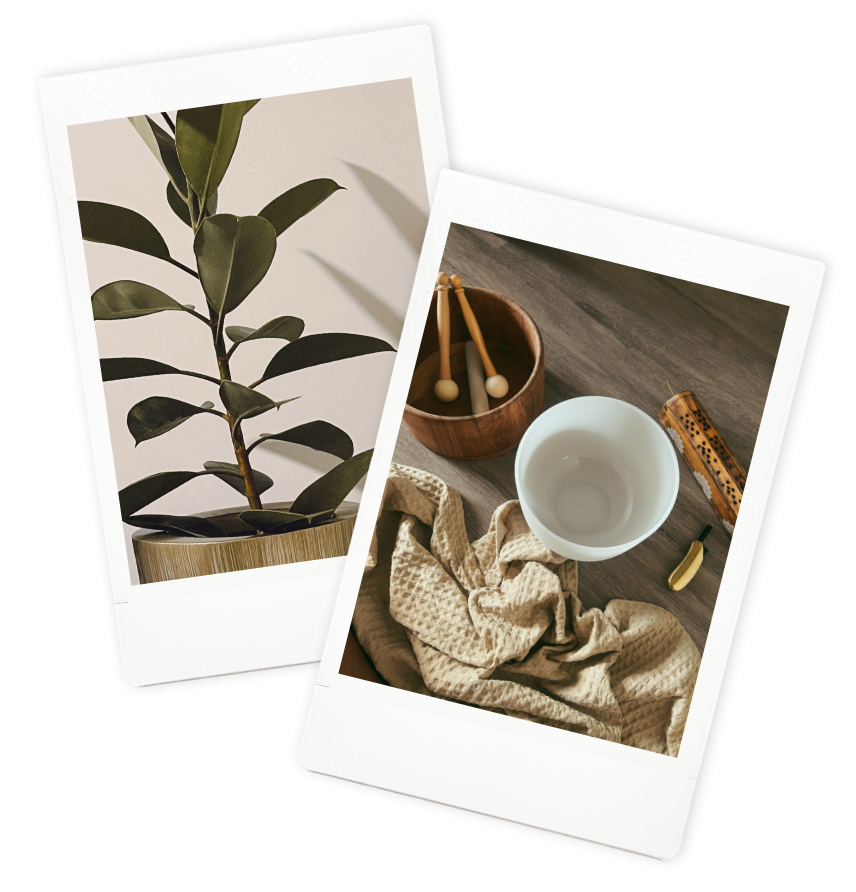 Polaroids of a plant and sound healing accessories that are used during a Flourish & Flow sound bath session.