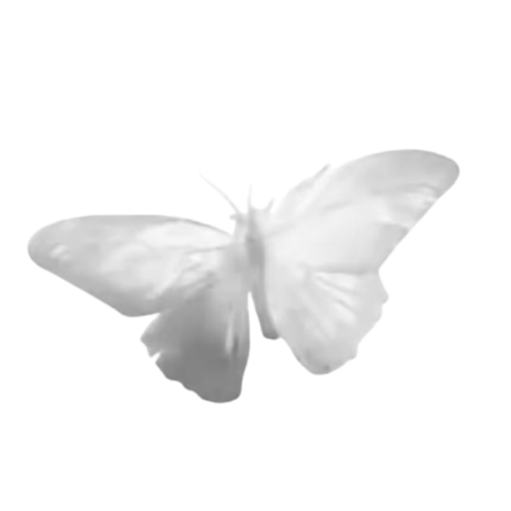 A gray butterfly graphic on the Flourish & Flow website.