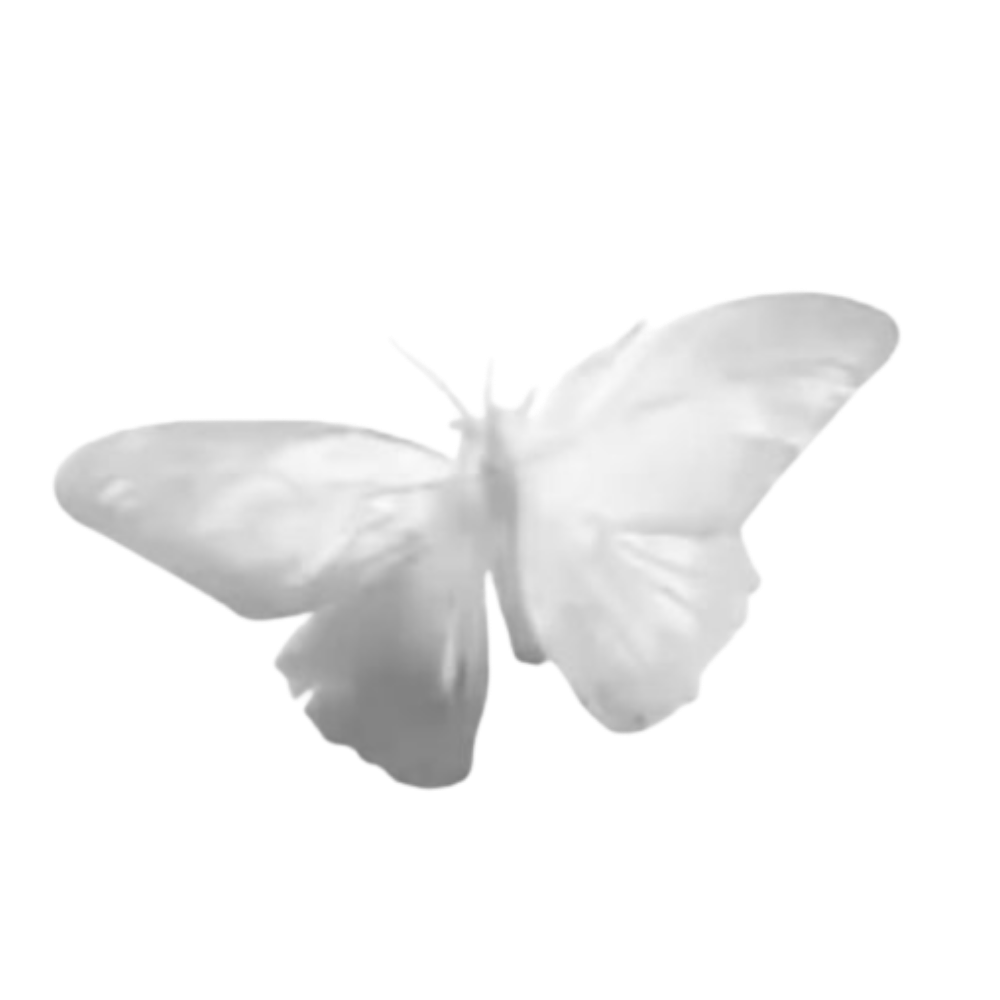 A graphic of a gray butterfly on Flourish & Flow's website.