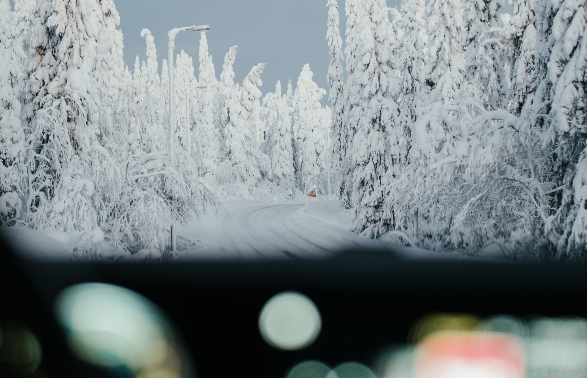 Luminen tie metsän keskellä, ympäröity lumiset puut, talvinen maisema ja vanhat lamput.