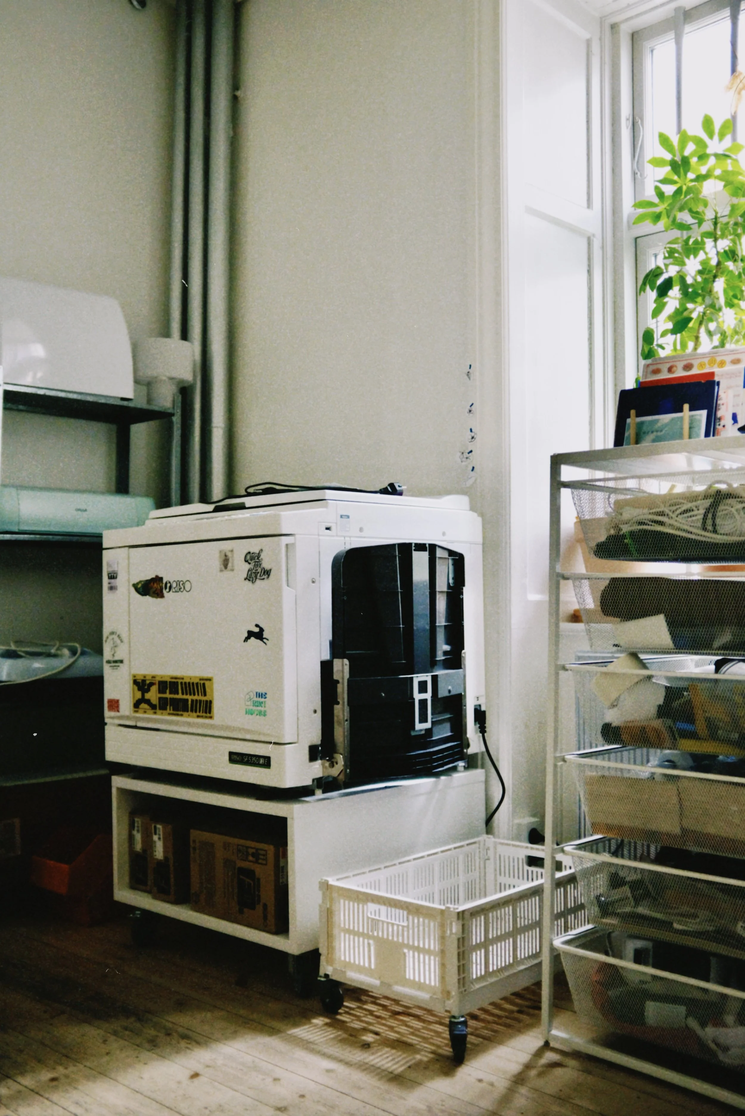 A room with a wooden floor, a storage rack with various items, a white printer on a stand, and a large window with a plant nearby.