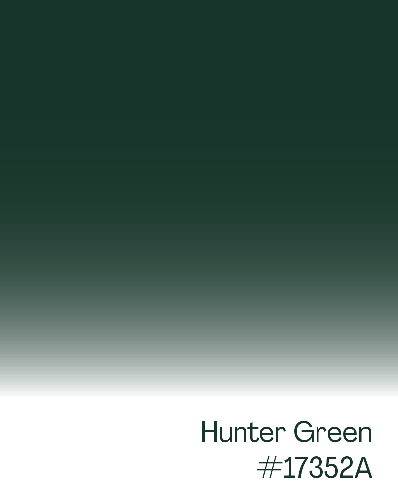 Color swatch labeled Hunter Green with hex code #17352A.