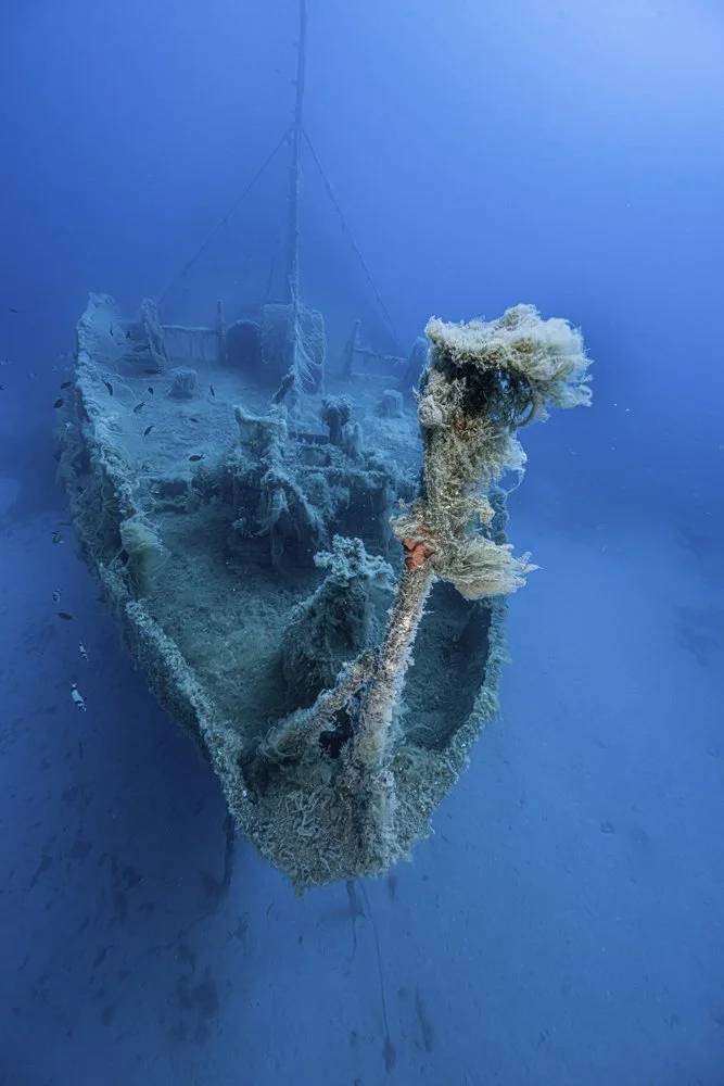 V8.jpg