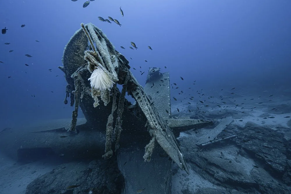 V7.jpg