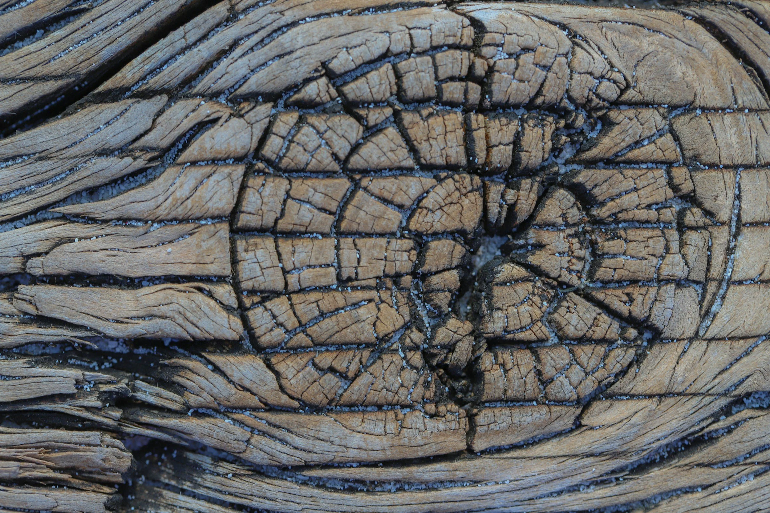Detailaufnahme einer markanten Holzmaserung mit natürlichen Rissen – Ausdruck von gealtertem, charakterstarkem Holz und echter Handwerksästhetik.