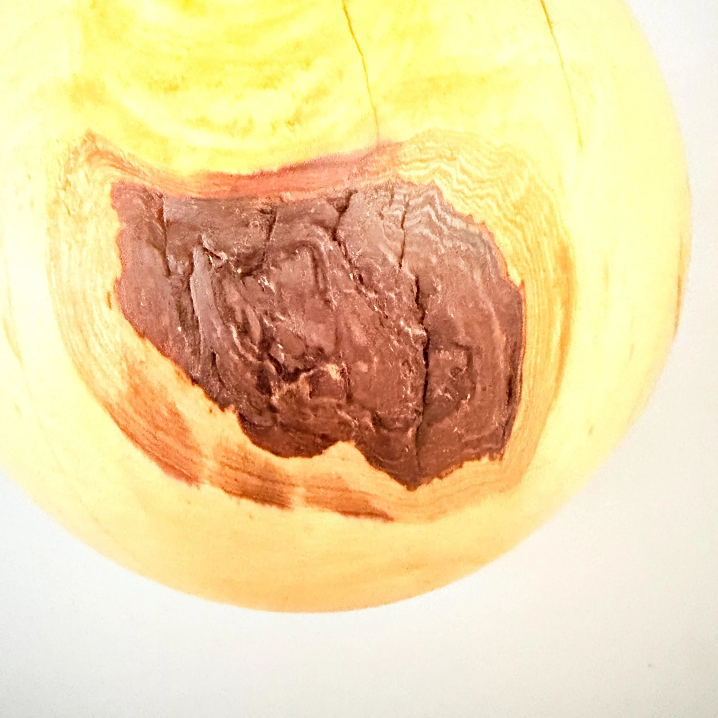 https://i.etsystatic.com/49116313/r/il/07c18b/8122993488/il_fullxfull.8122993488_3gd0.jpg